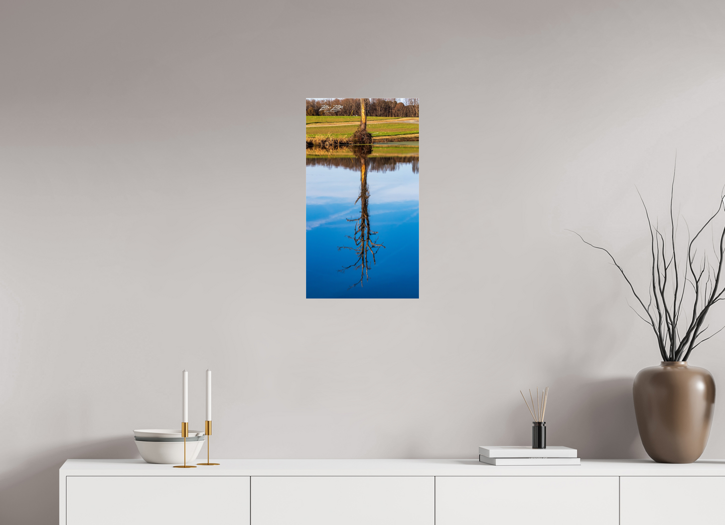 13.5 x 24″, Photo Print Under Acrylic Glass Zillas Zoom Image 247