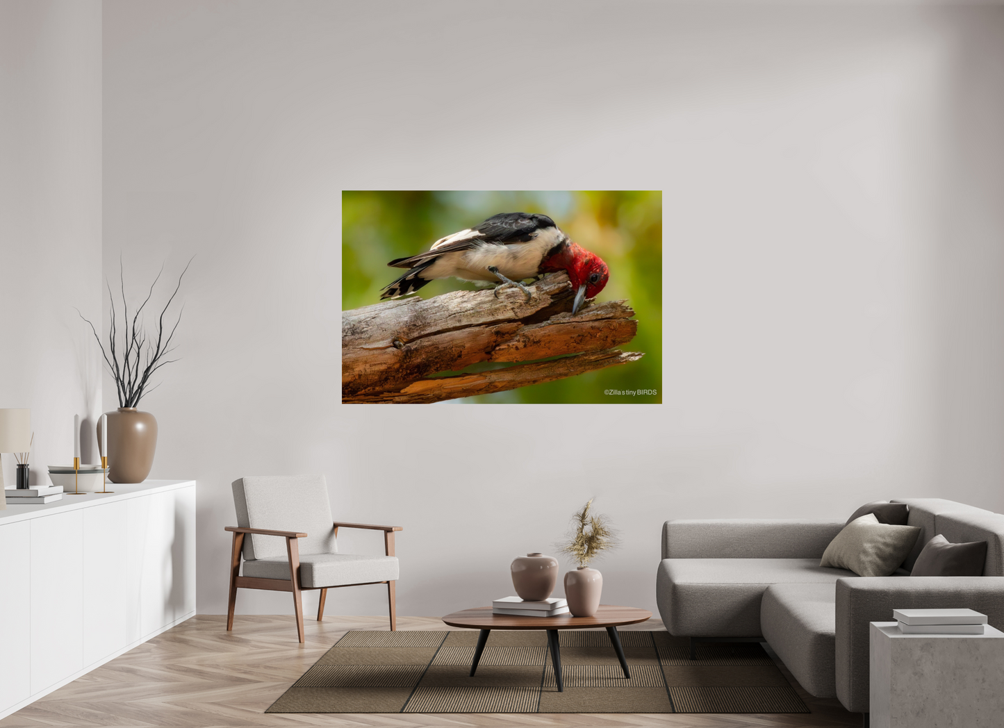 66 x 44″, Photo Print Under Acrylic Glass Zillas Zoom Image 329