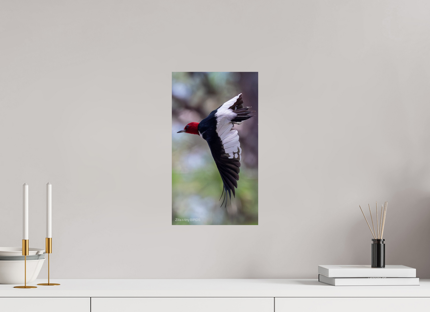 9 x 16″, Photo Print On Fuji Crystal DP II Zillas Zoom Image 482