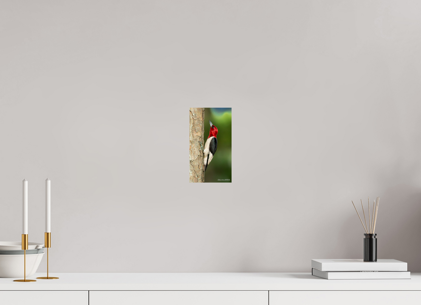 4.5 x 8″, Photo Print On Fuji Crystal DP II Zillas Zoom Image 492