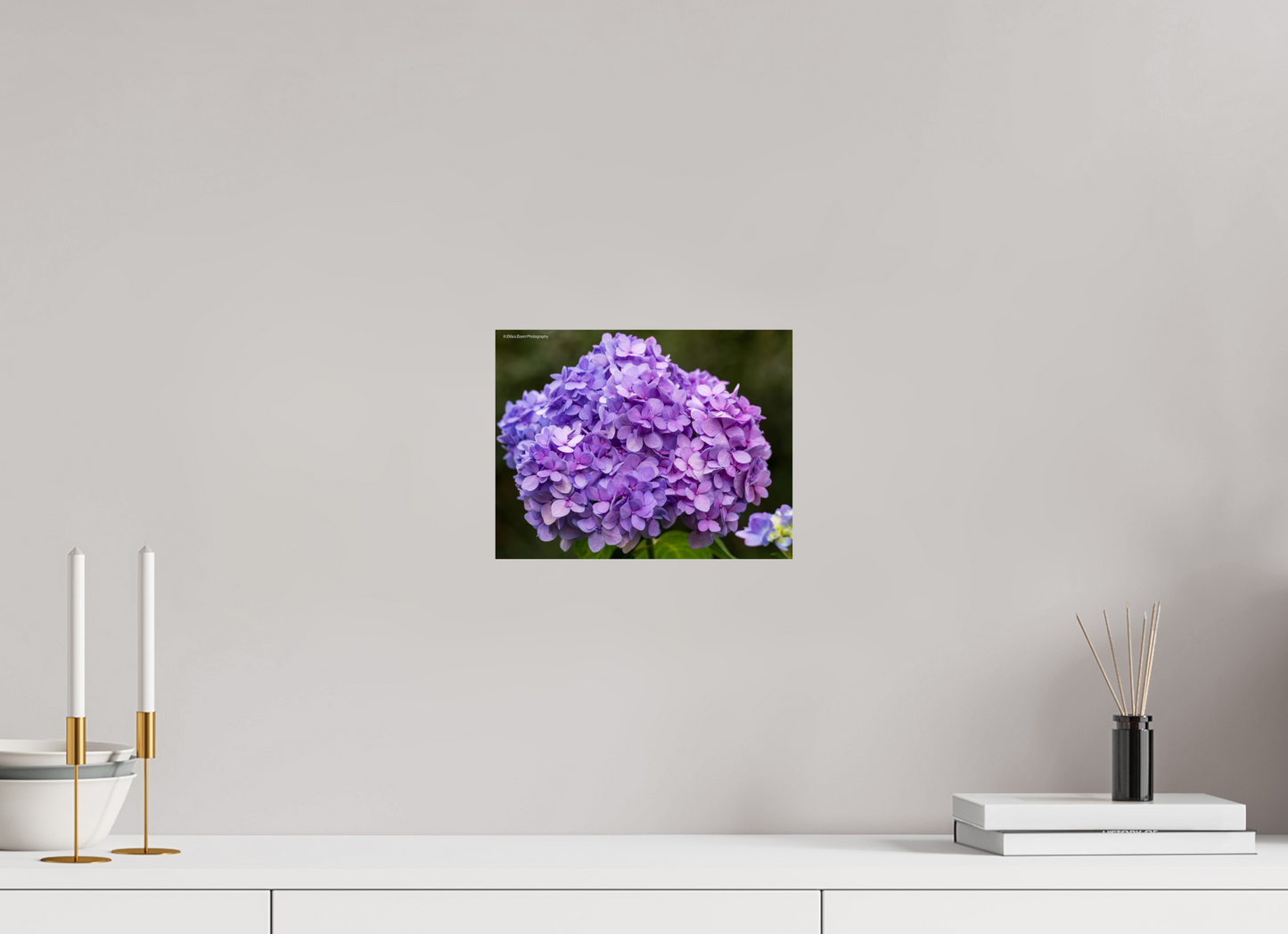 10.4 x 8″, Photo Print On Fuji Crystal DP II Zillas Zoom Image 95