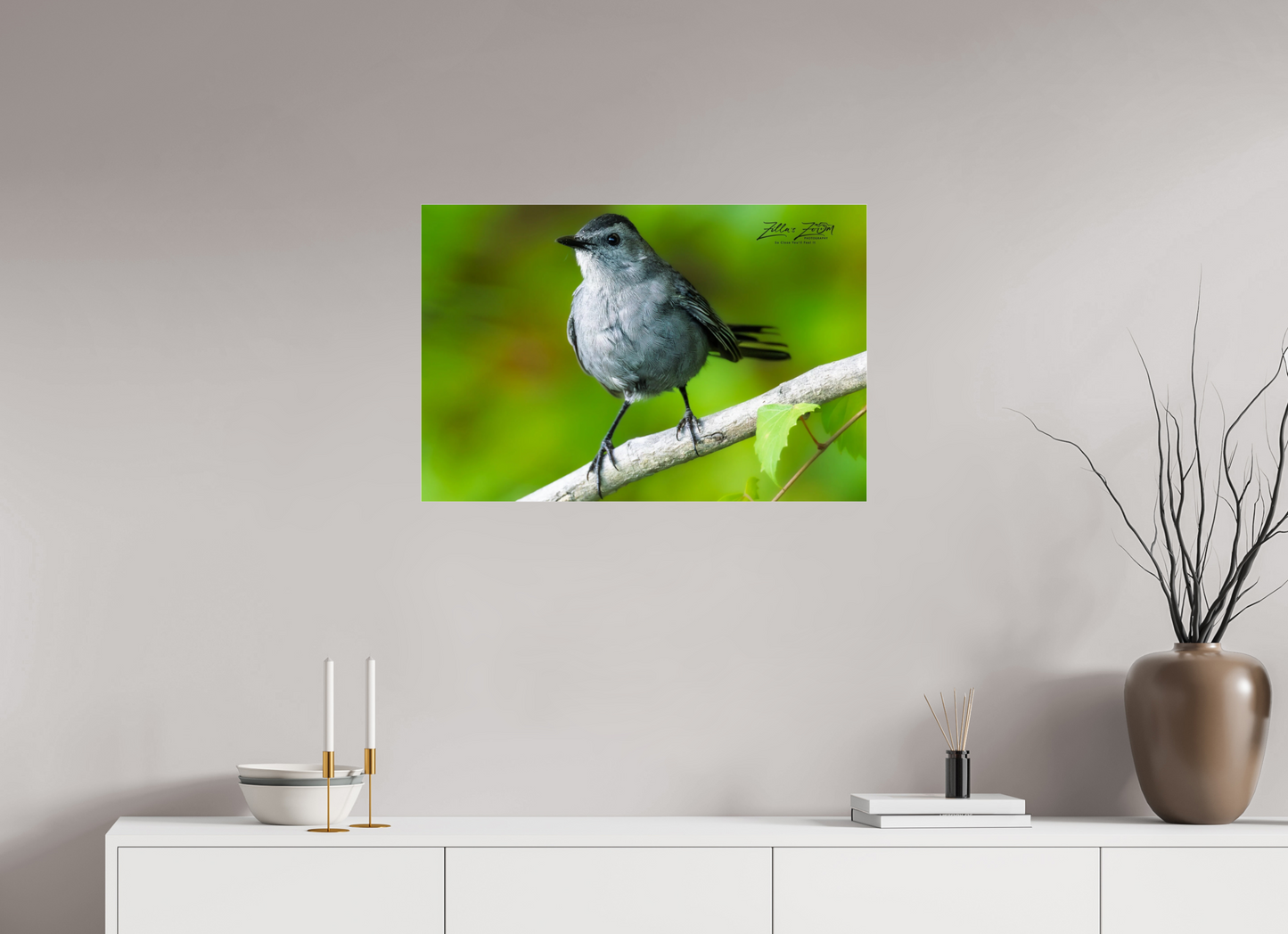 30 x 20″, Photo Print Under Acrylic Glass Zillas Zoom Image 305