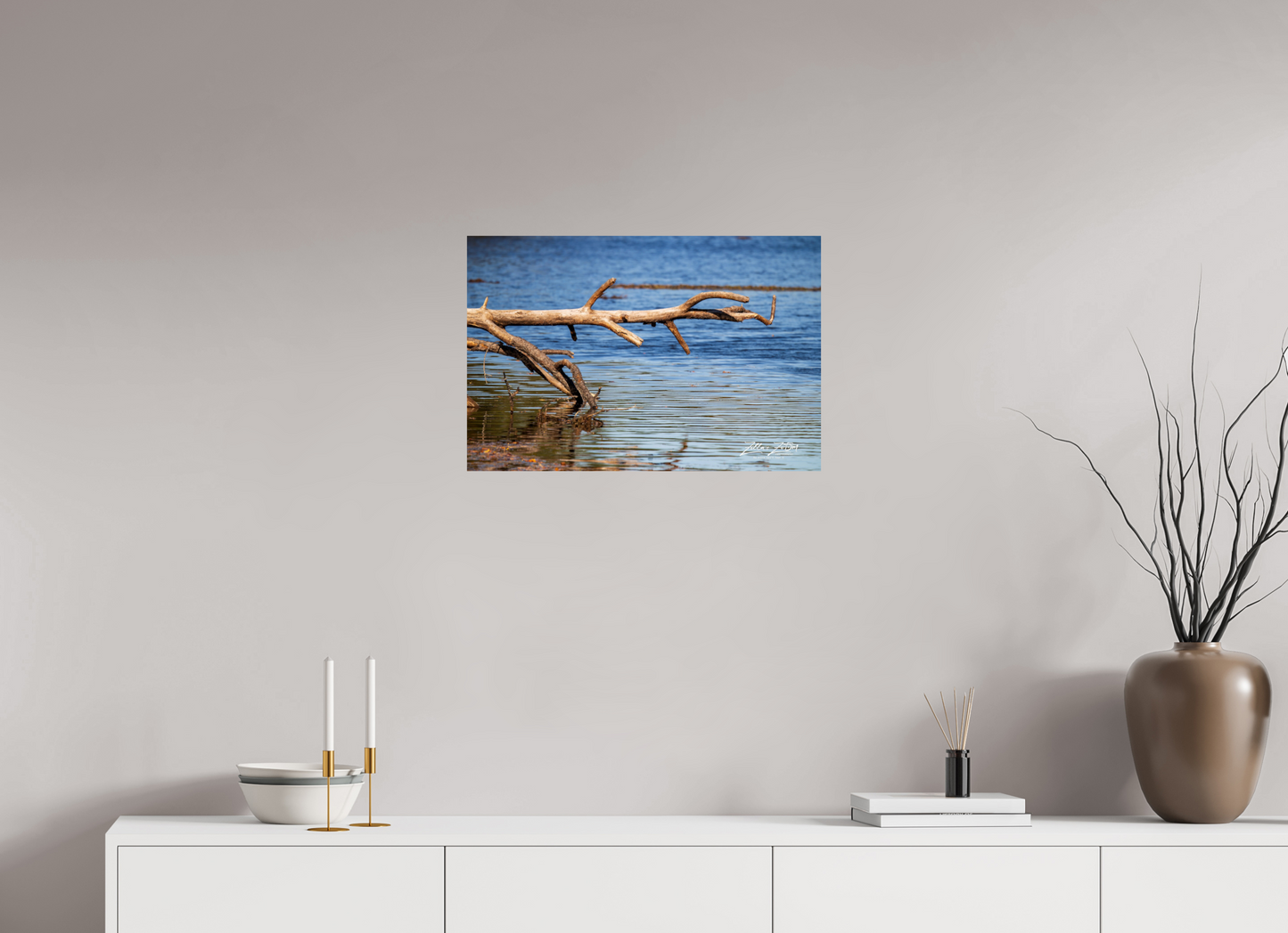 24 x 16″, Photo Print On Fuji Crystal DP II Zillas Zoom Image 213