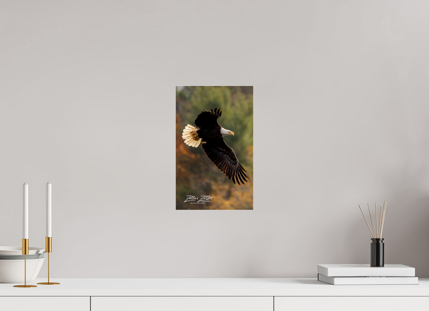8 x 12.8″, Photo Print Under Acrylic Glass Zillas Zoom Image 416