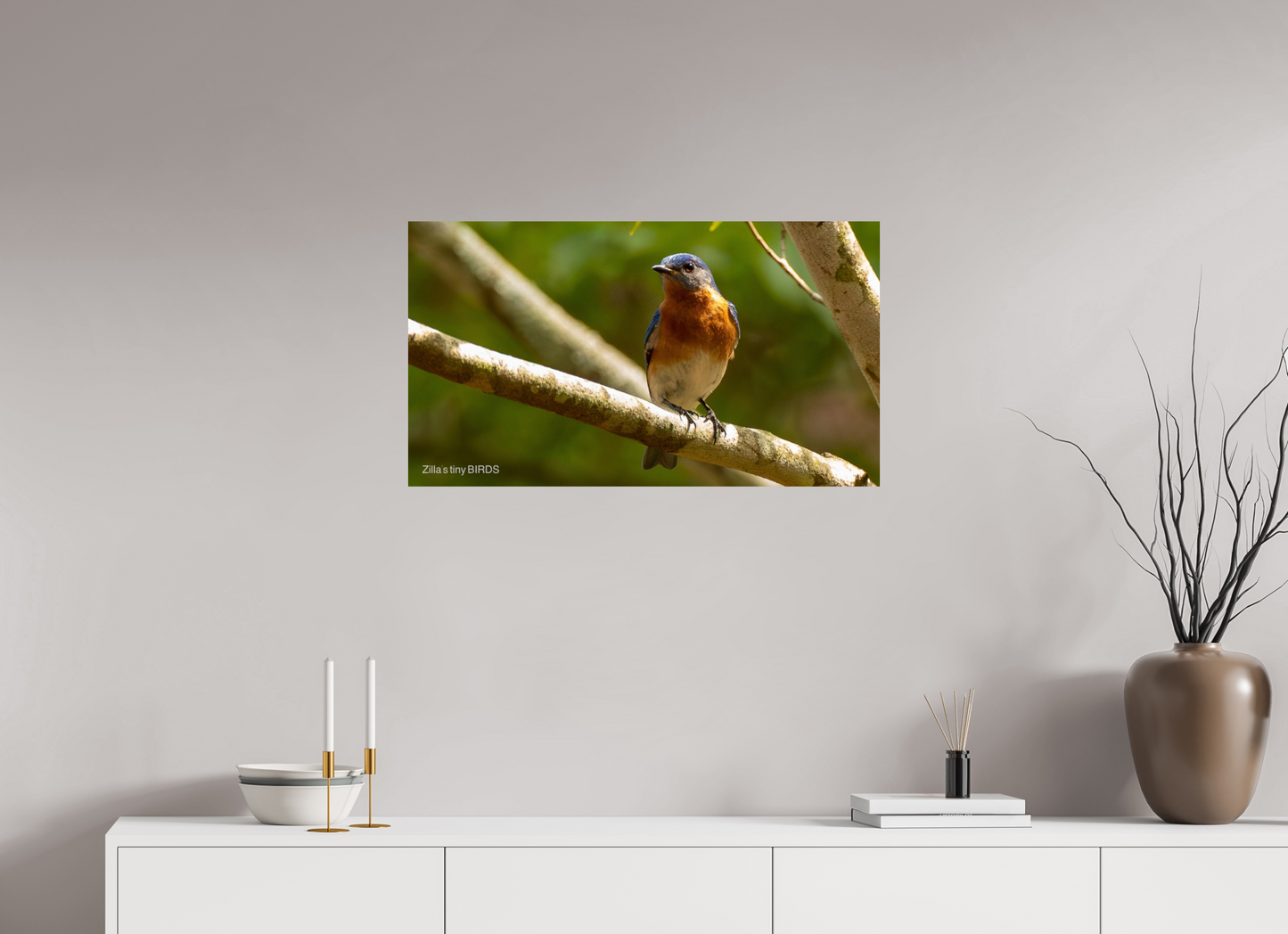32 x 18″, Photo Print On Fuji Crystal DP II Zillas Zoom Image 373