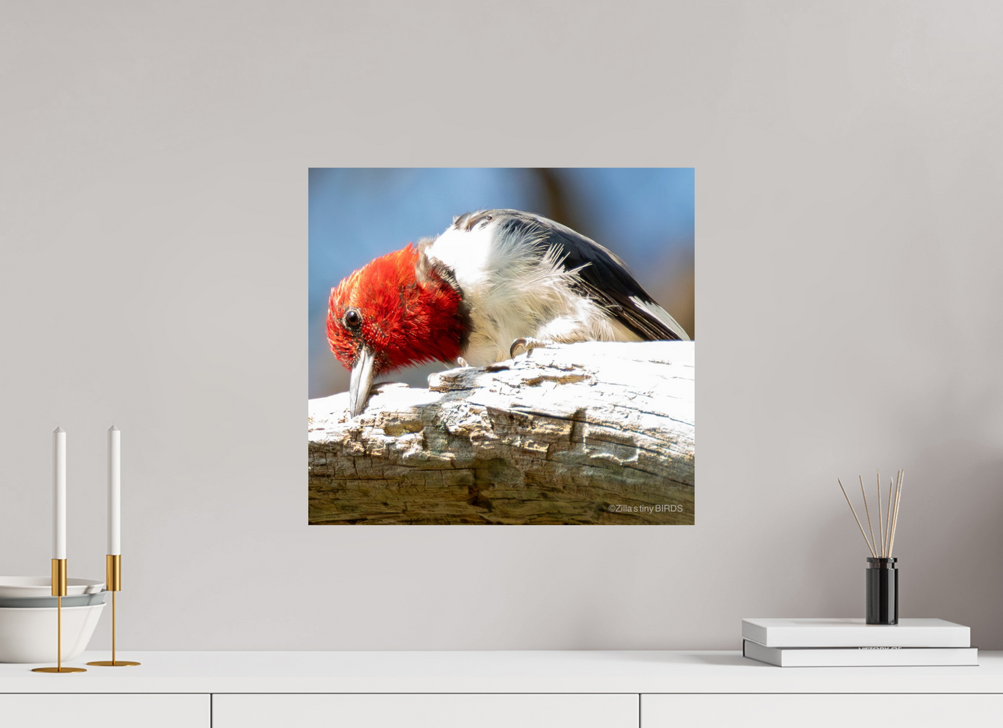 17.3 x 16″, Photo Print On Fuji Crystal DP II Zillas Zoom Image 270