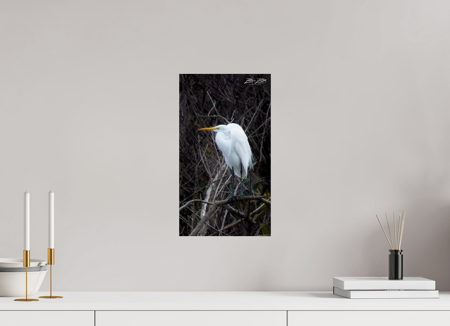 9 x 16″, Photo Print Under Acrylic Glass Zillas Zoom Image 434