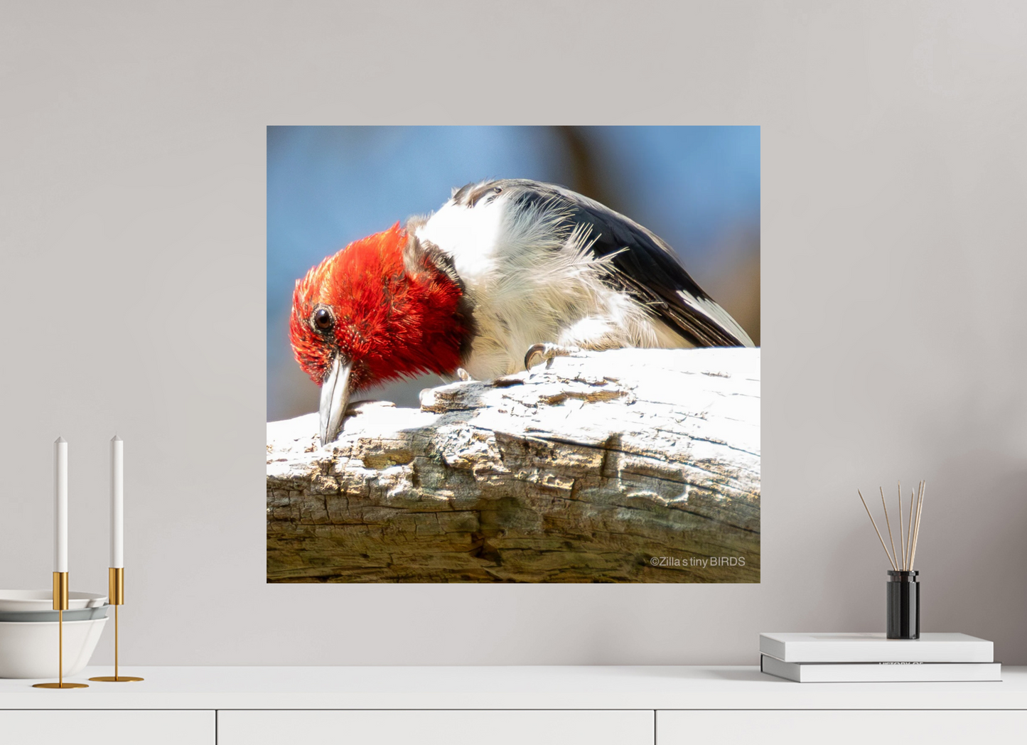 21.6 x 20″, Photo Print On Fuji Crystal DP II Zillas Zoom Image 270