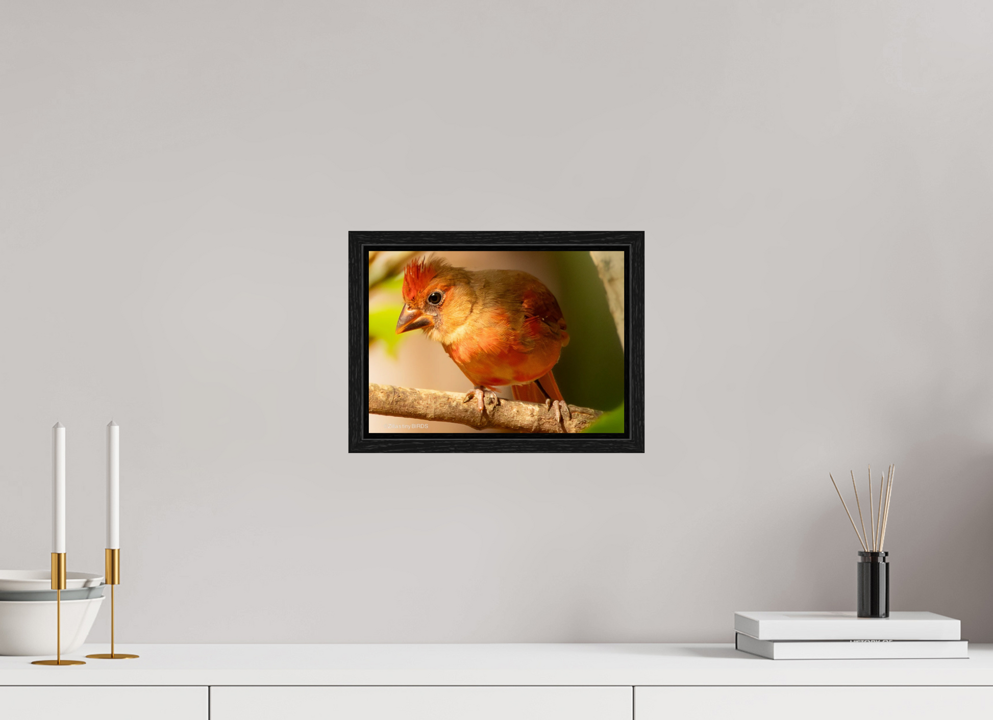 11.2 x 8″, Floater Frame Zillas Zoom Image 316