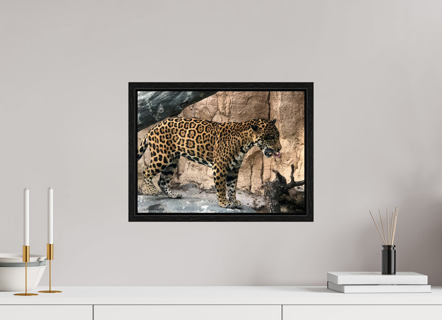 16.5 x 12″, Floater Frame Zillas zoom image 137