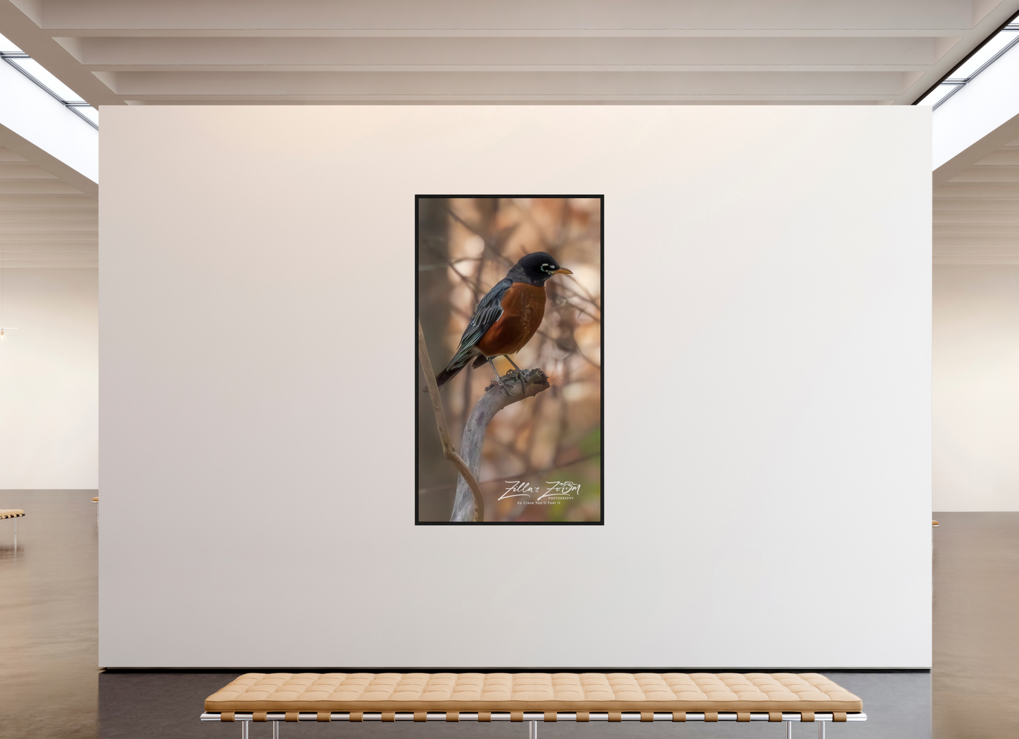 45 x 80″, Floater Frame Zillas Zoom Image 414