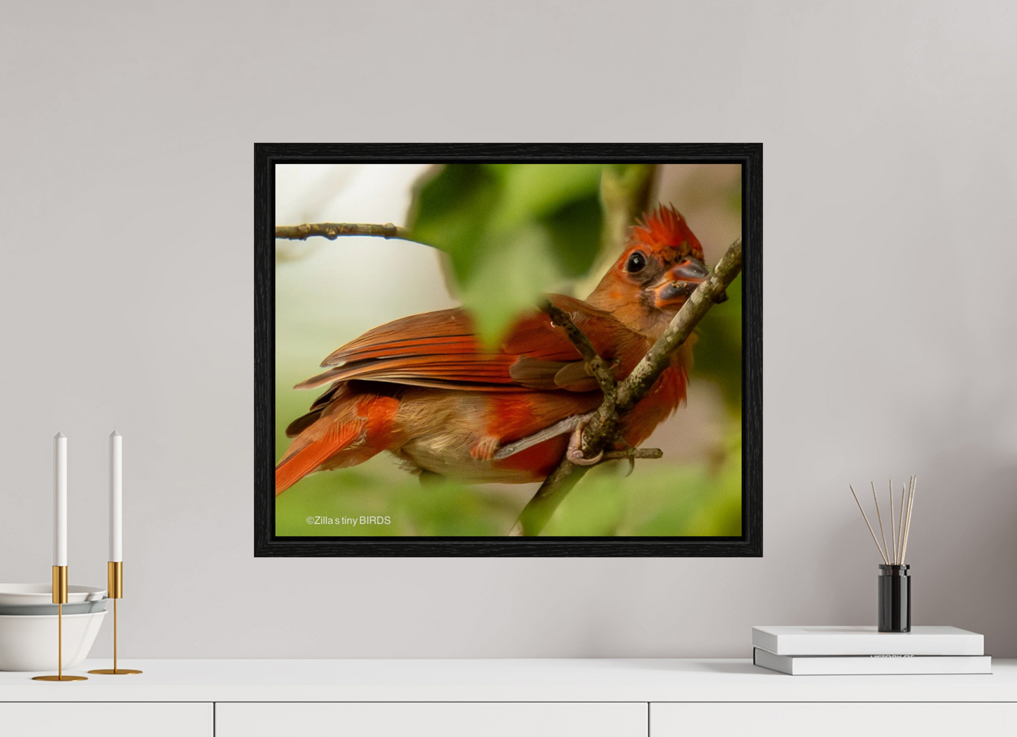20 x 16″, Floater Frame Zillas Zoom Image 317