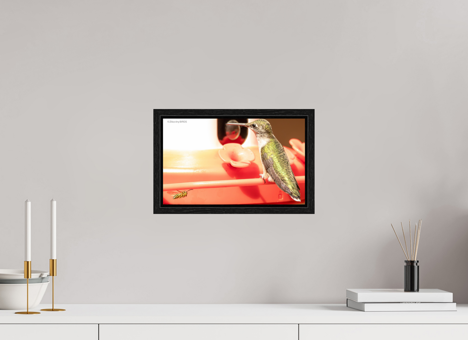 13.2 x 8″, Floater Frame Zillas Zoom Image 320