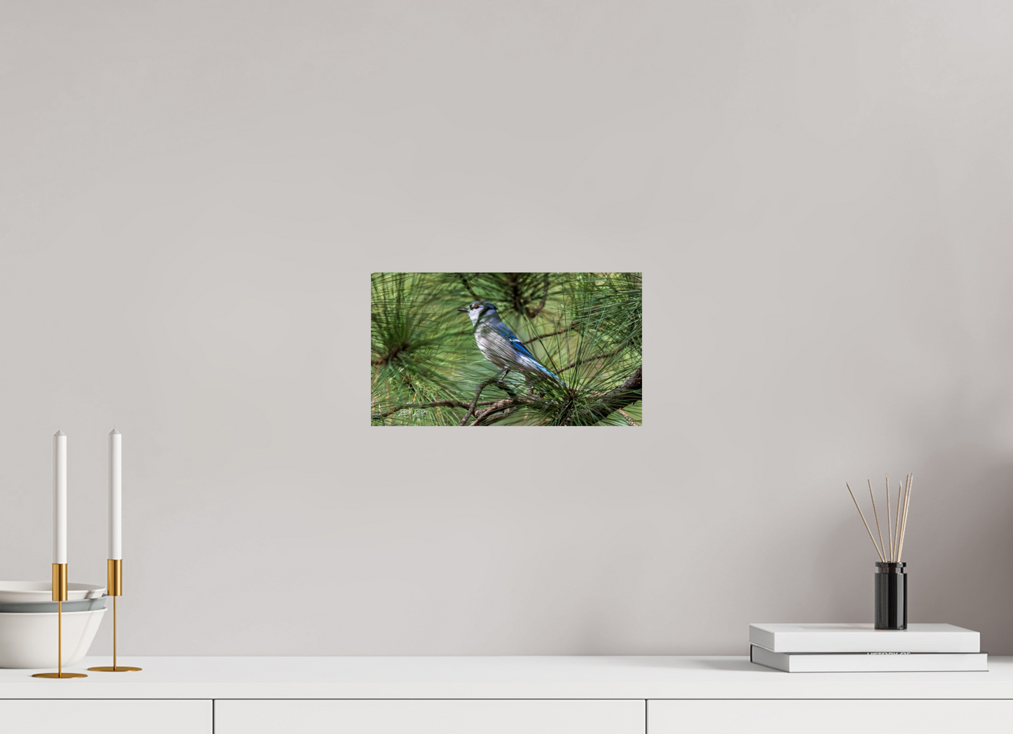 12 x 6.8″, Photo Print On Fuji Crystal DP II Zillas Zoom Image 344