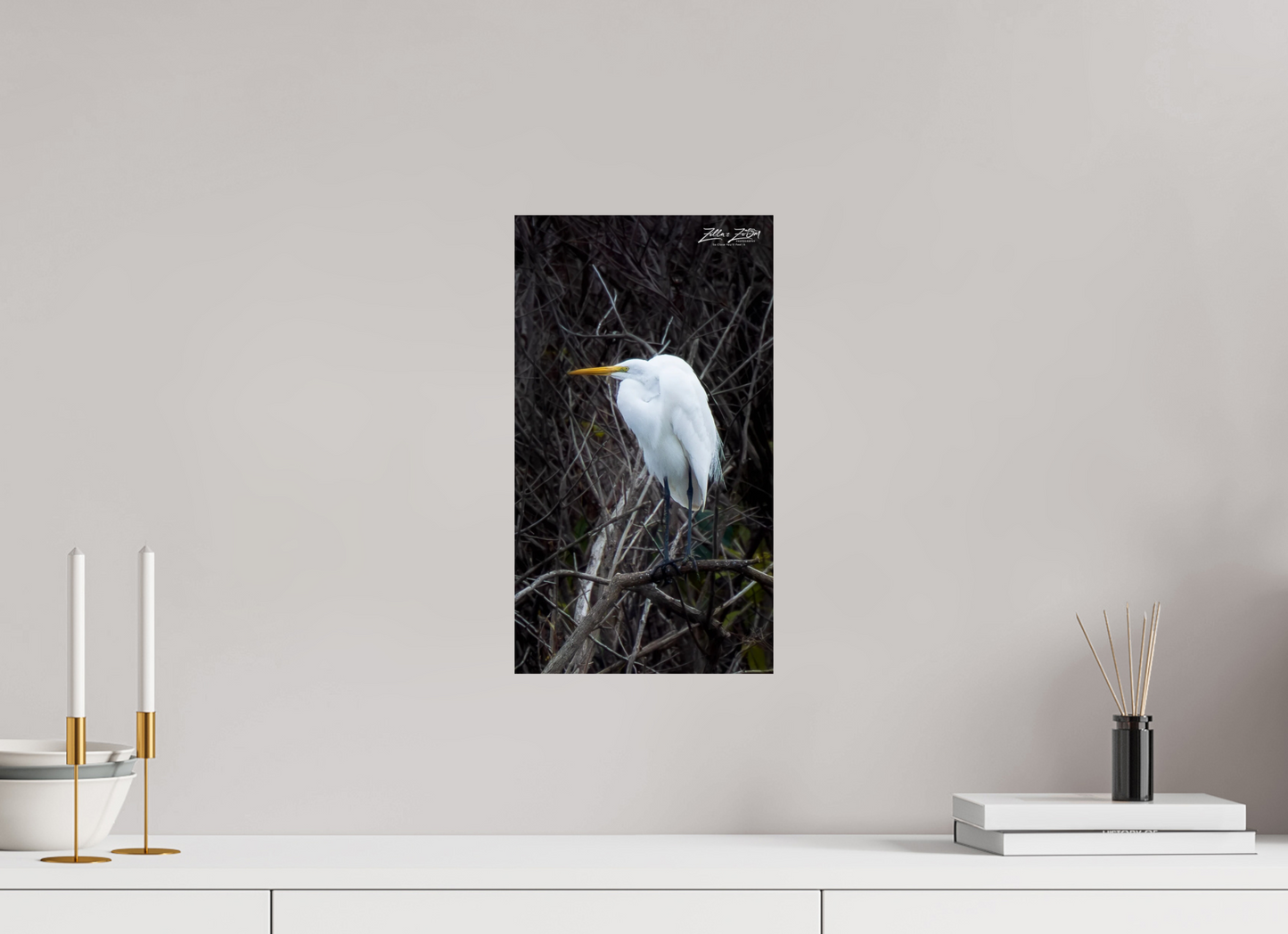 9 x 16″, Photo Print On Fuji Crystal DP II Zillas Zoom Image 434