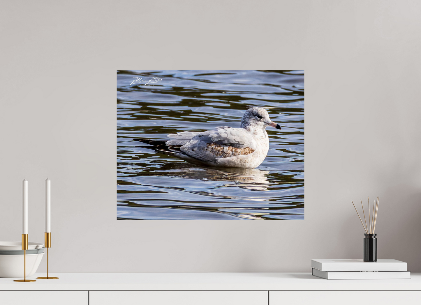 20 x 16″, Photo Print On Fuji Crystal DP II Zillas Zoom Image 271