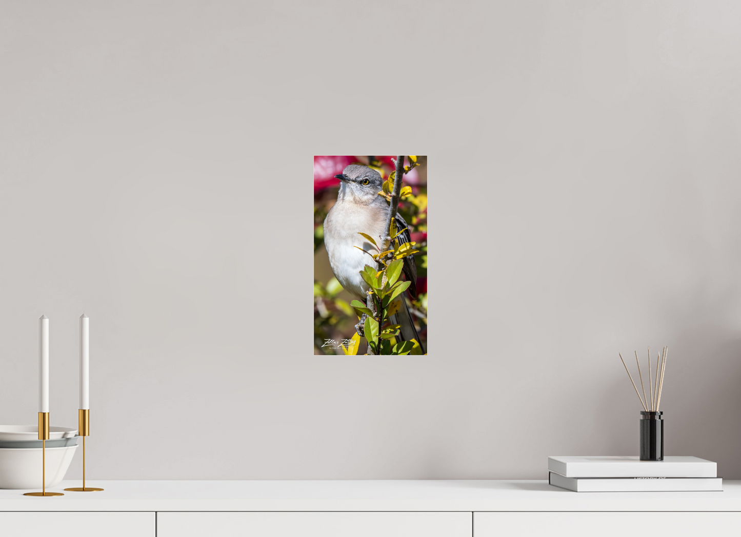 6.8 x 12″, Photo Print Under Acrylic Glass Zillas Zoom Image 406