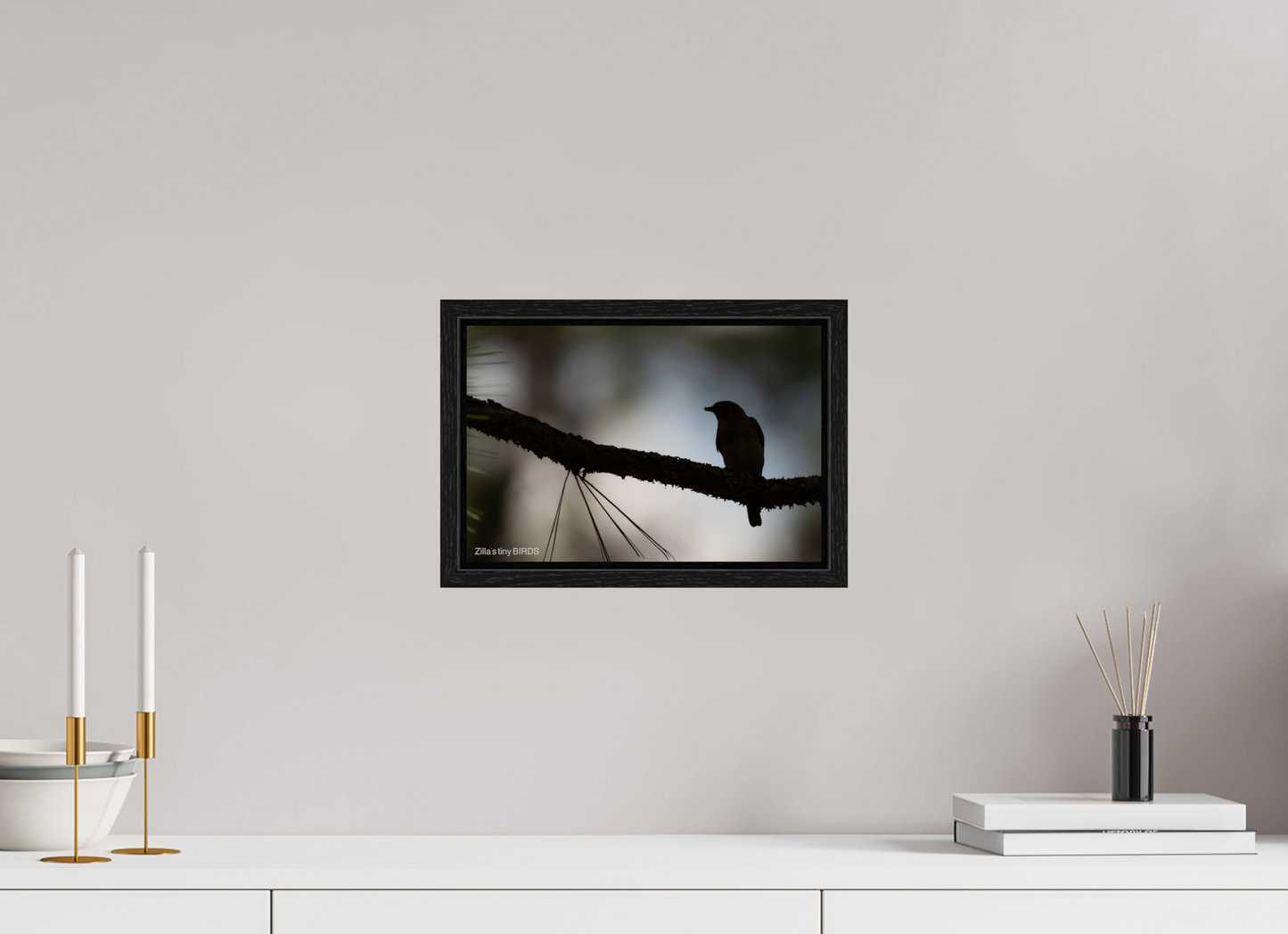 12 x 8″, Floater Frame Zillas Zoom Image 372