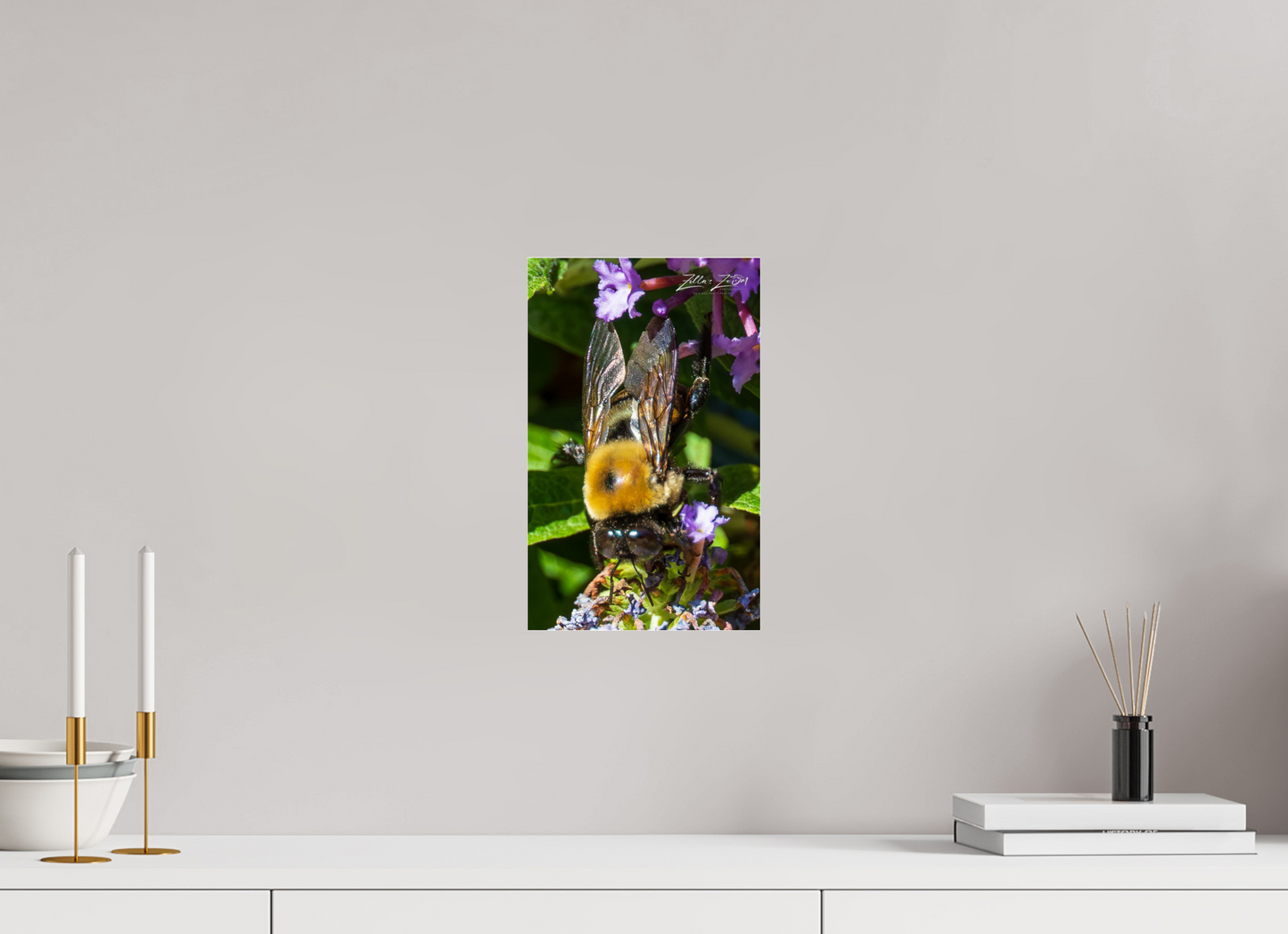 8 x 12.8″, Photo Print Under Acrylic Glass Zillas Zoom Image 109