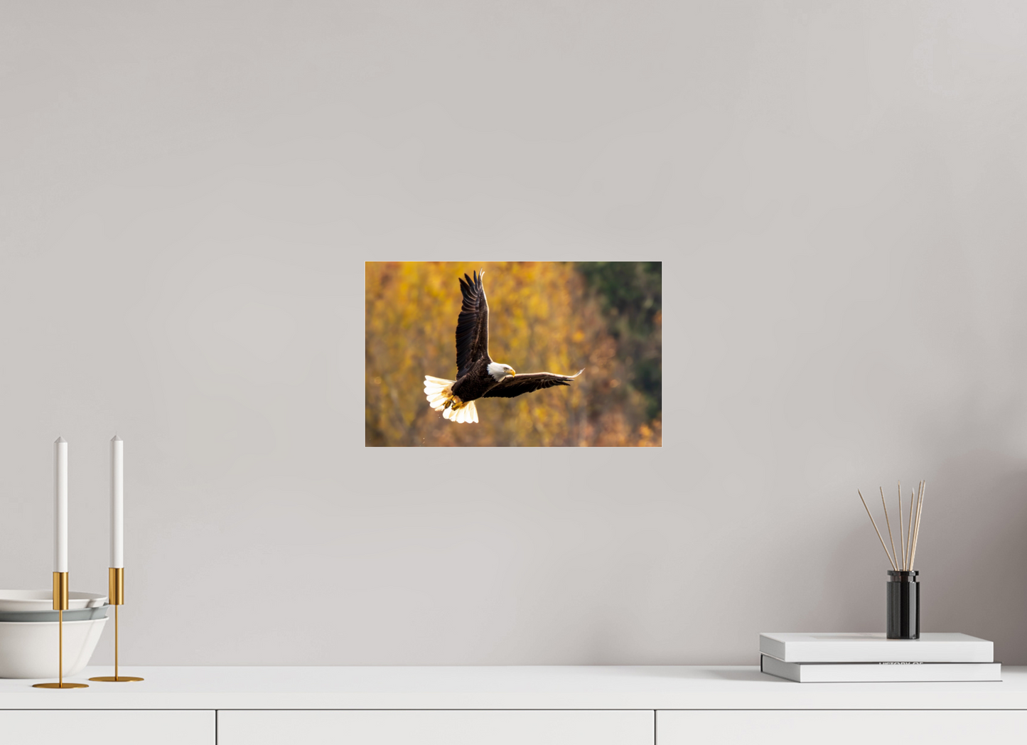 12.8 x 8″, Photo Print Under Acrylic Glass Zillas Zoom Image 394