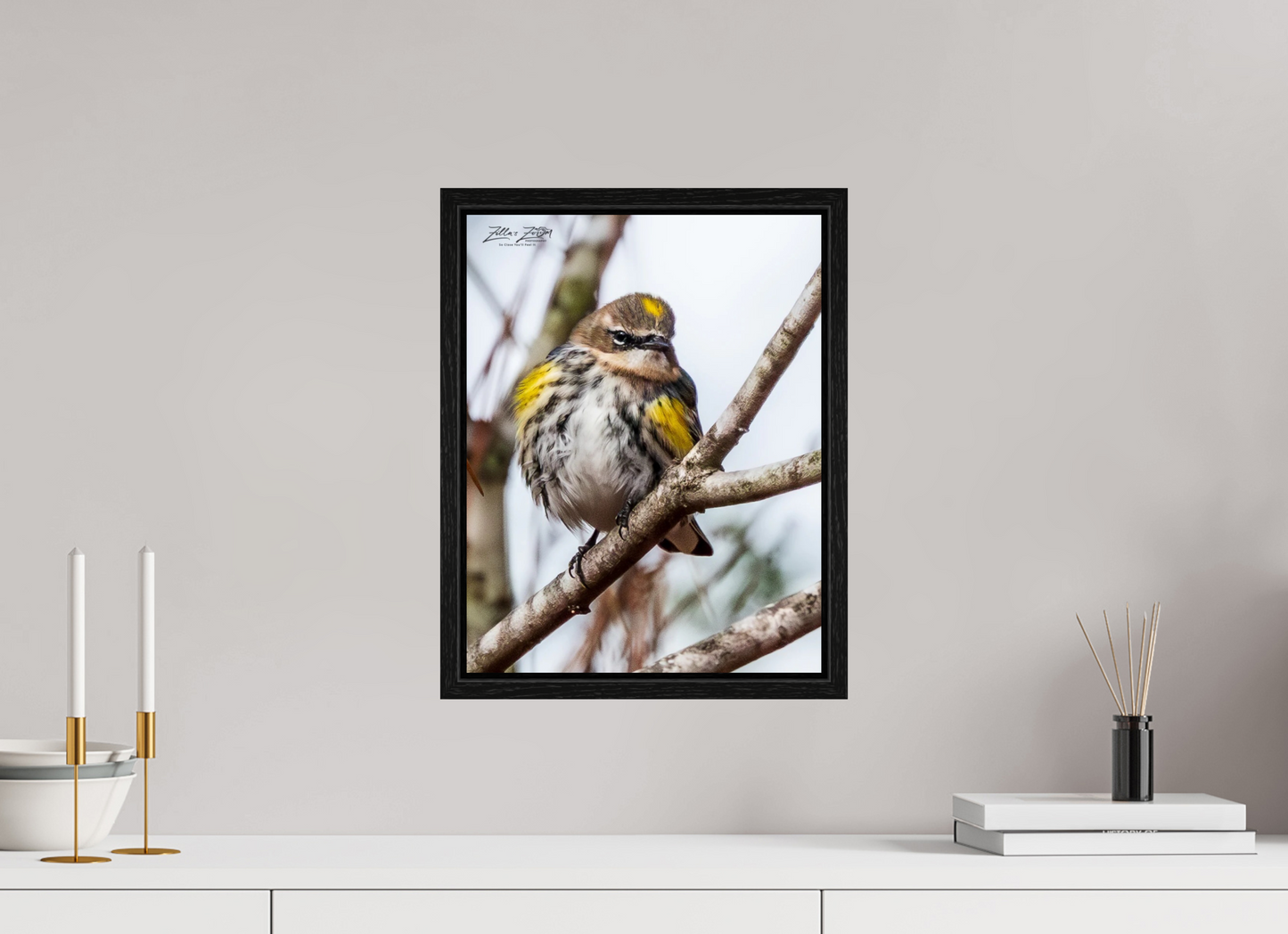 12 x 15.5″, Floater Frame Zillas Zoom Image 496