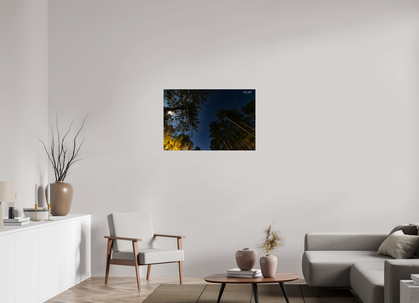 36 x 24″, Photo Print Under Acrylic Glass Zillas zoom image 119
