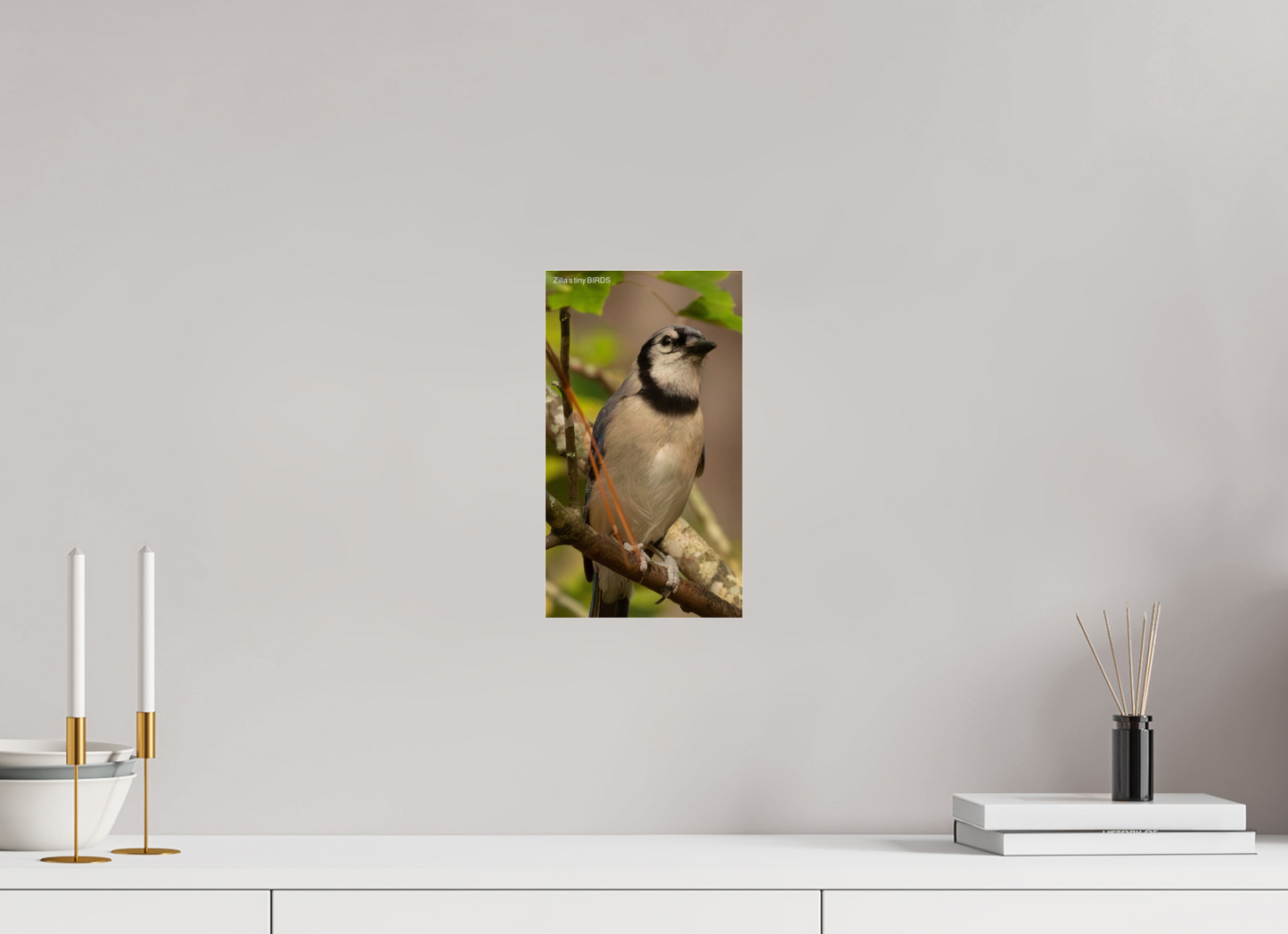 6.8 x 12″, Photo Print Under Acrylic Glass Zillas Zoom Image 493