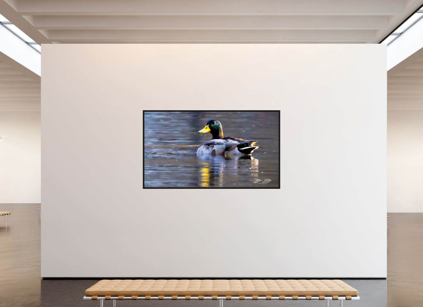 80 x 45″, Floater Frame Zillas Zoom Image 334