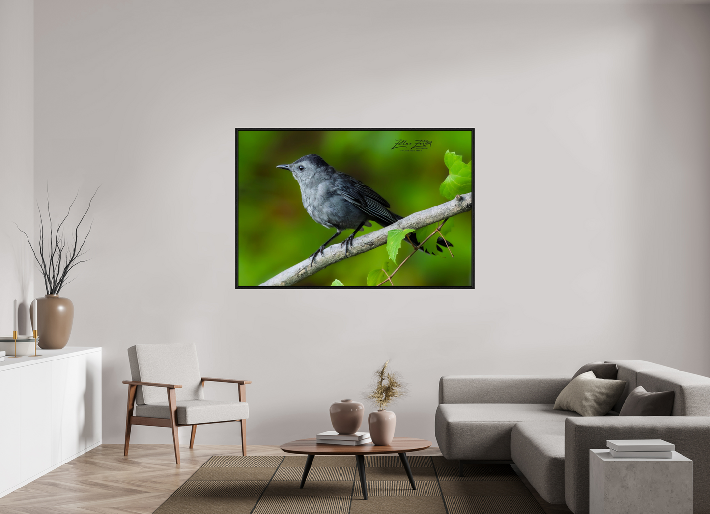 66 x 44″, Floater Frame Zillas Zoom Image 302