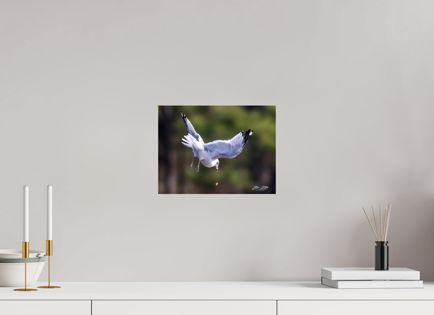 12 x 9″, Photo Print Under Acrylic Glass Zillas Zoom Image 268