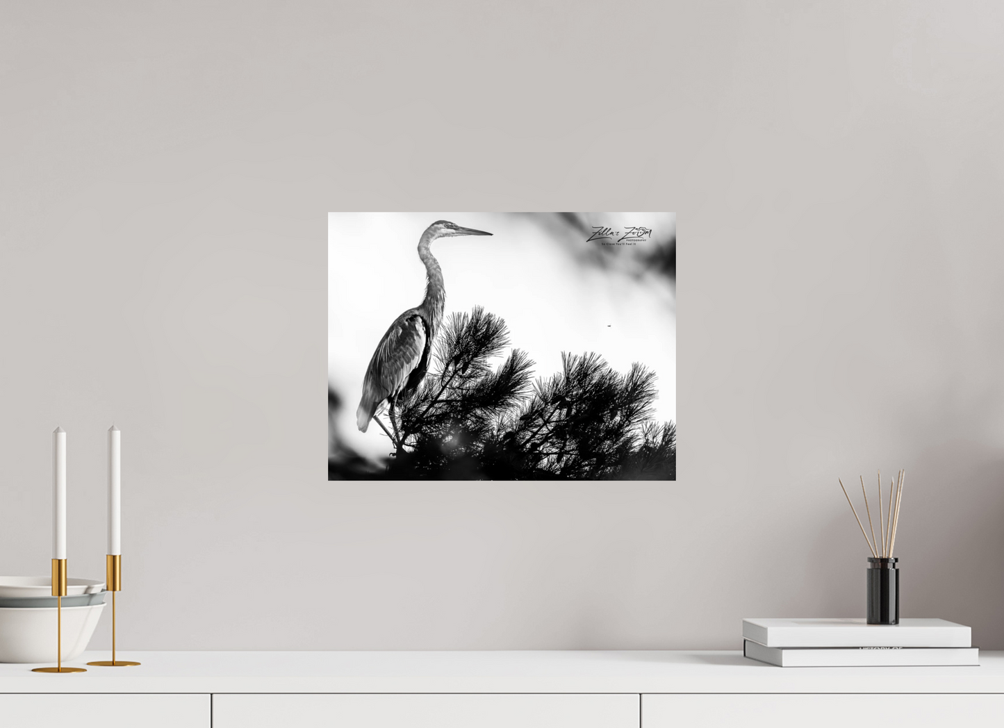 15.6 x 12″, Photo Print On Fuji Crystal DP II Zillas Zoom Image 298