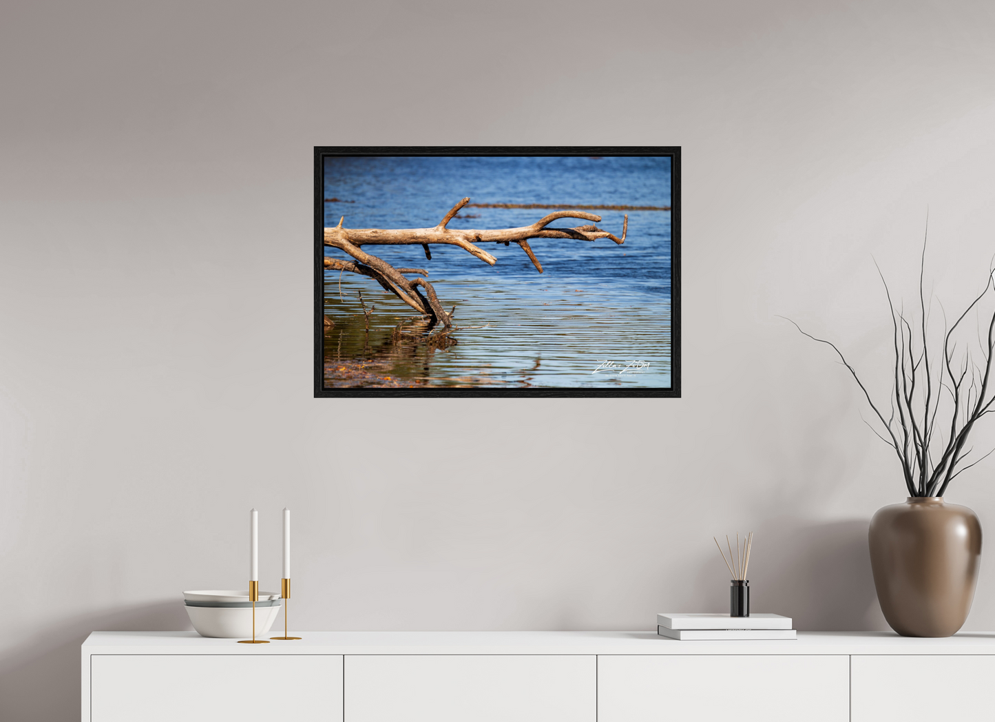30 x 20″, Floater Frame Zillas Zoom Image 213