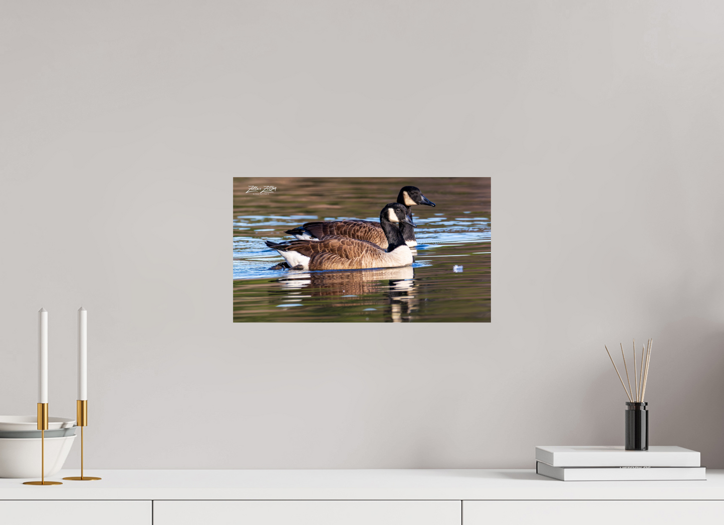 16 x 9″, Photo Print On Fuji Crystal DP II Zillas Zoom Image 279