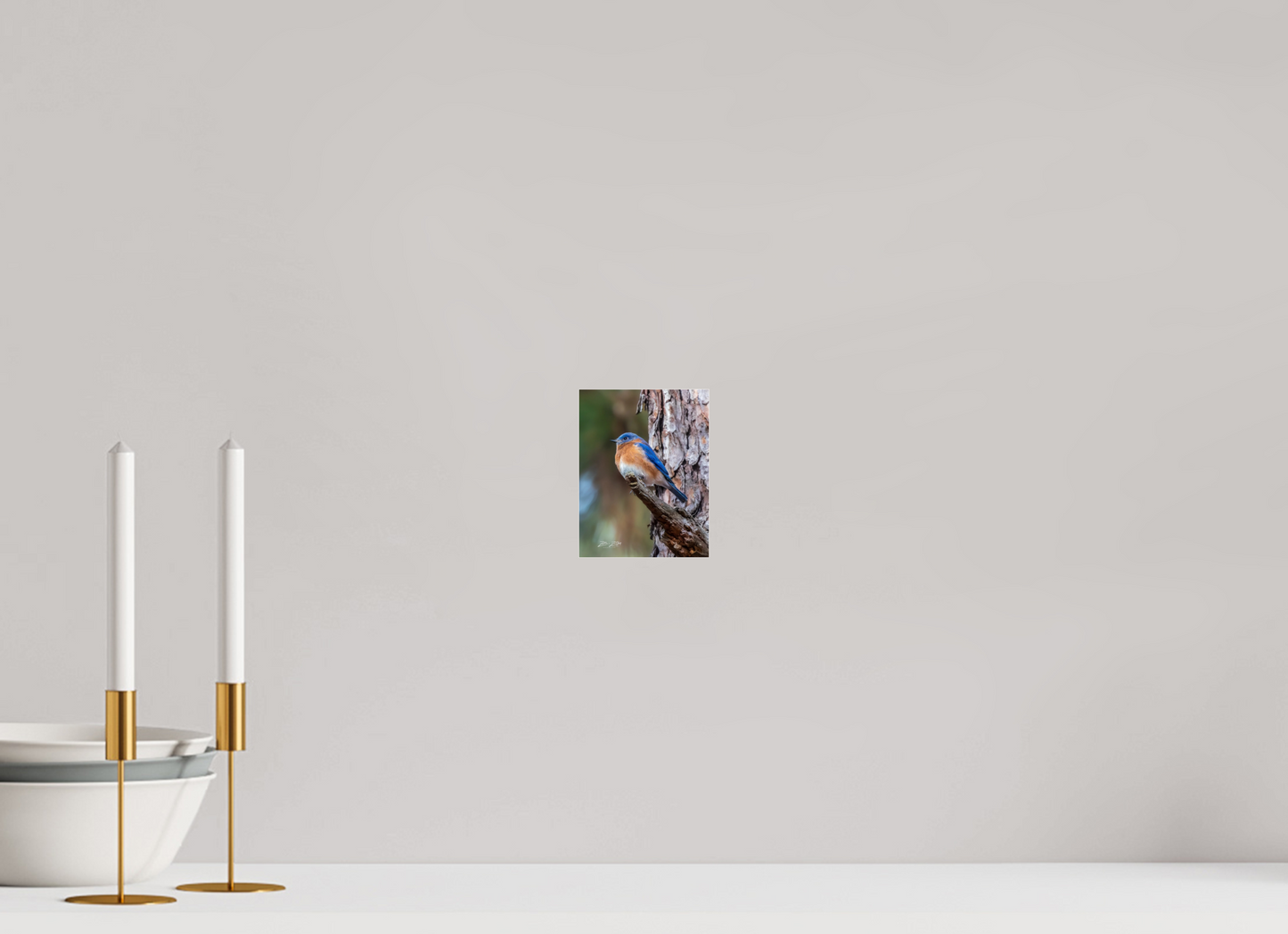 4 x 5.2″, Photo Print Under Acrylic Glass Zillas Zoom Image 512