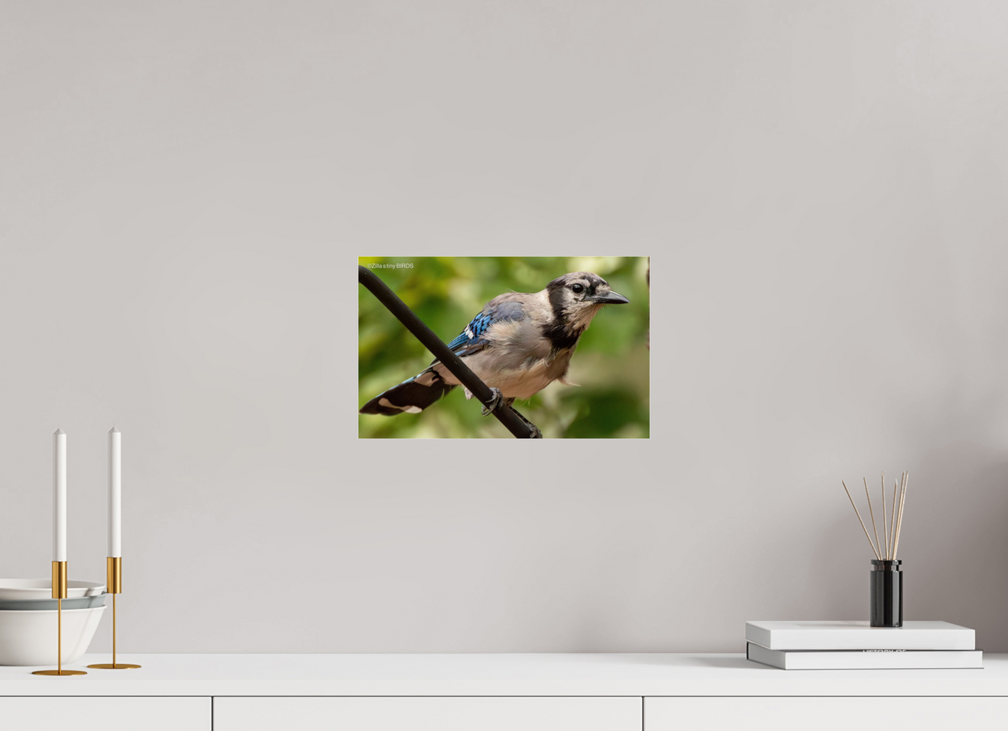 12.8 x 8″, Photo Print Under Acrylic Glass Zillas Zoom Image 348