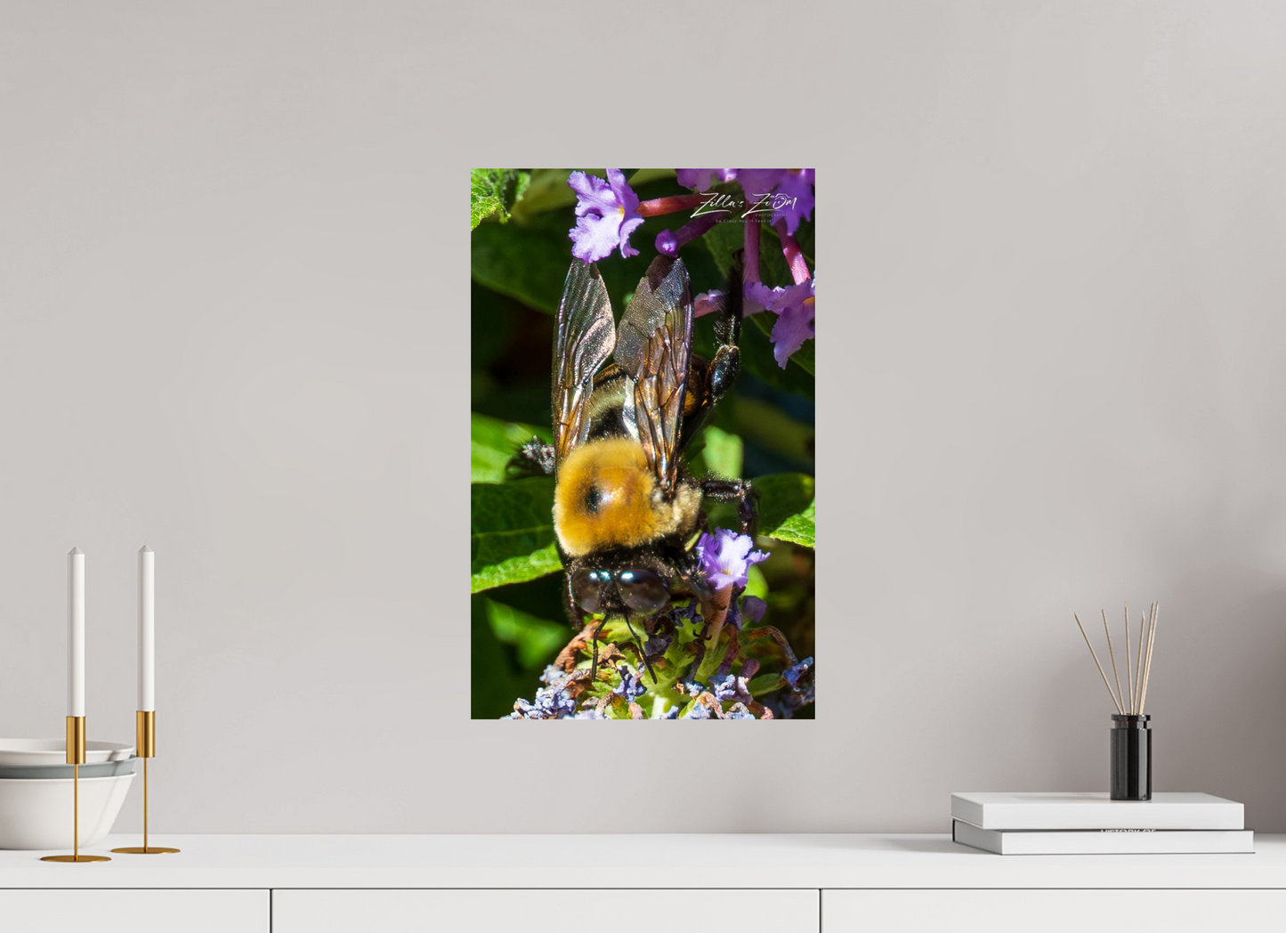 12 x 19.2″, Photo Print On Fuji Crystal DP II Zillas Zoom Image 109