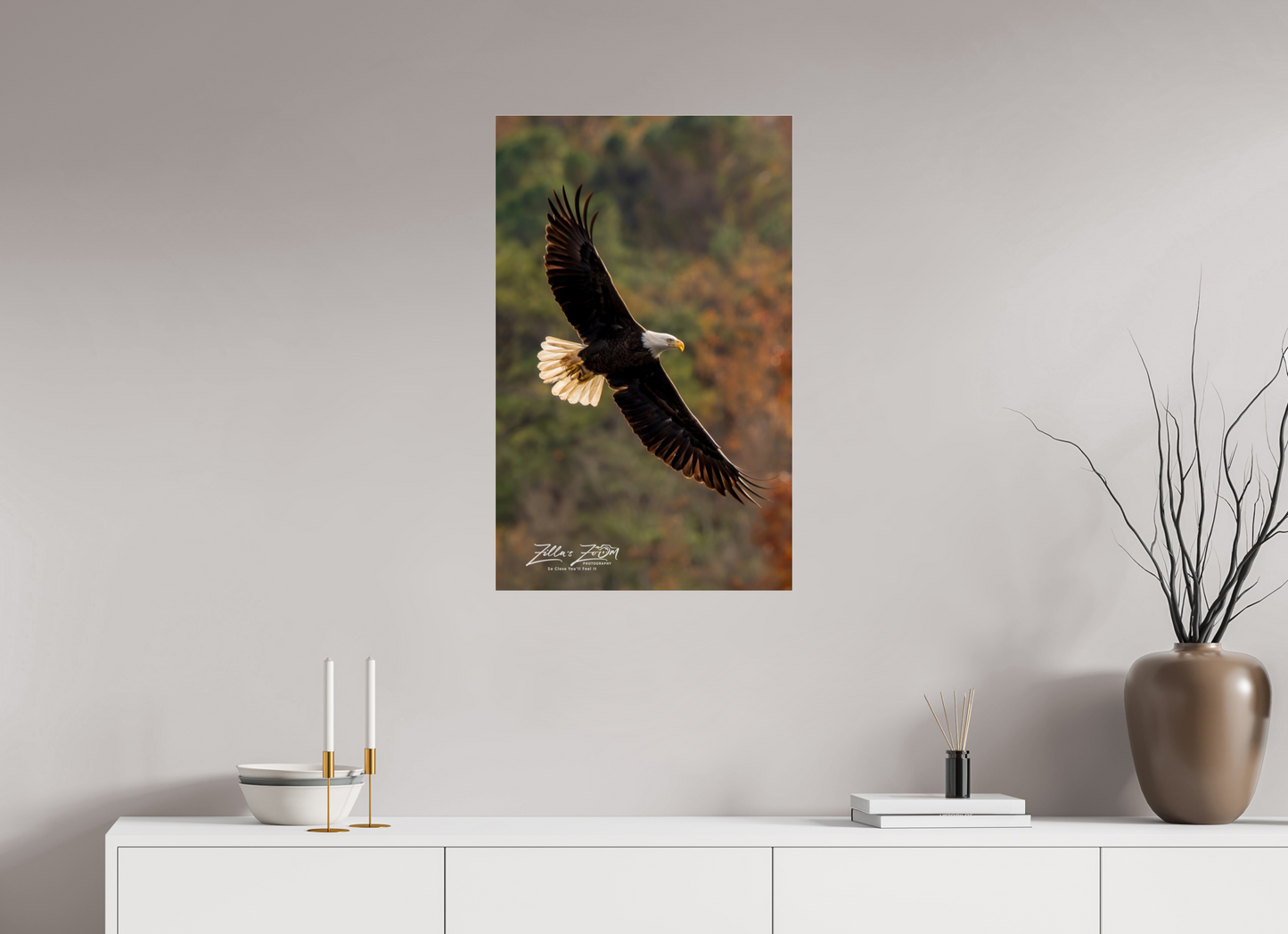 20 x 32″, Photo Print Under Acrylic Glass Zillas Zoom Image 417
