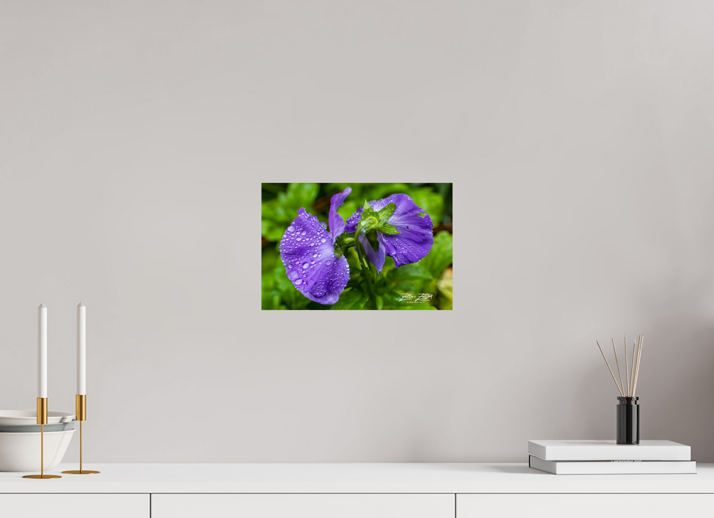 12 x 8″, Photo Print On Fuji Crystal DP II Zillas Zoom Image 93
