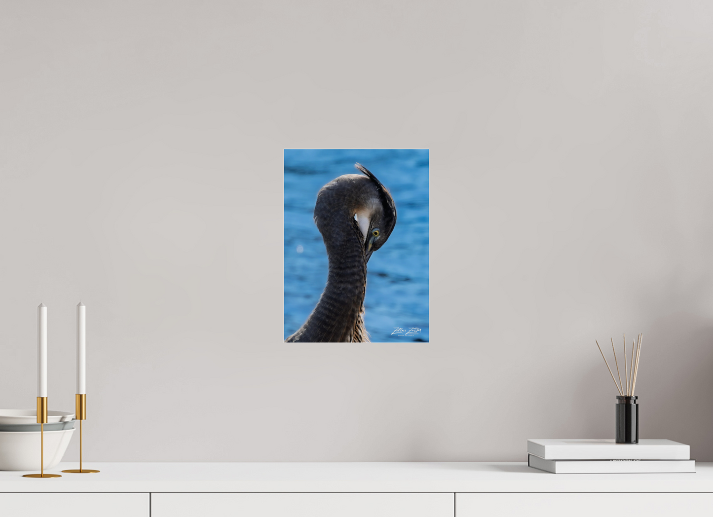 9 x 12″, Photo Print Under Acrylic Glass Zillas Zoom Image 453