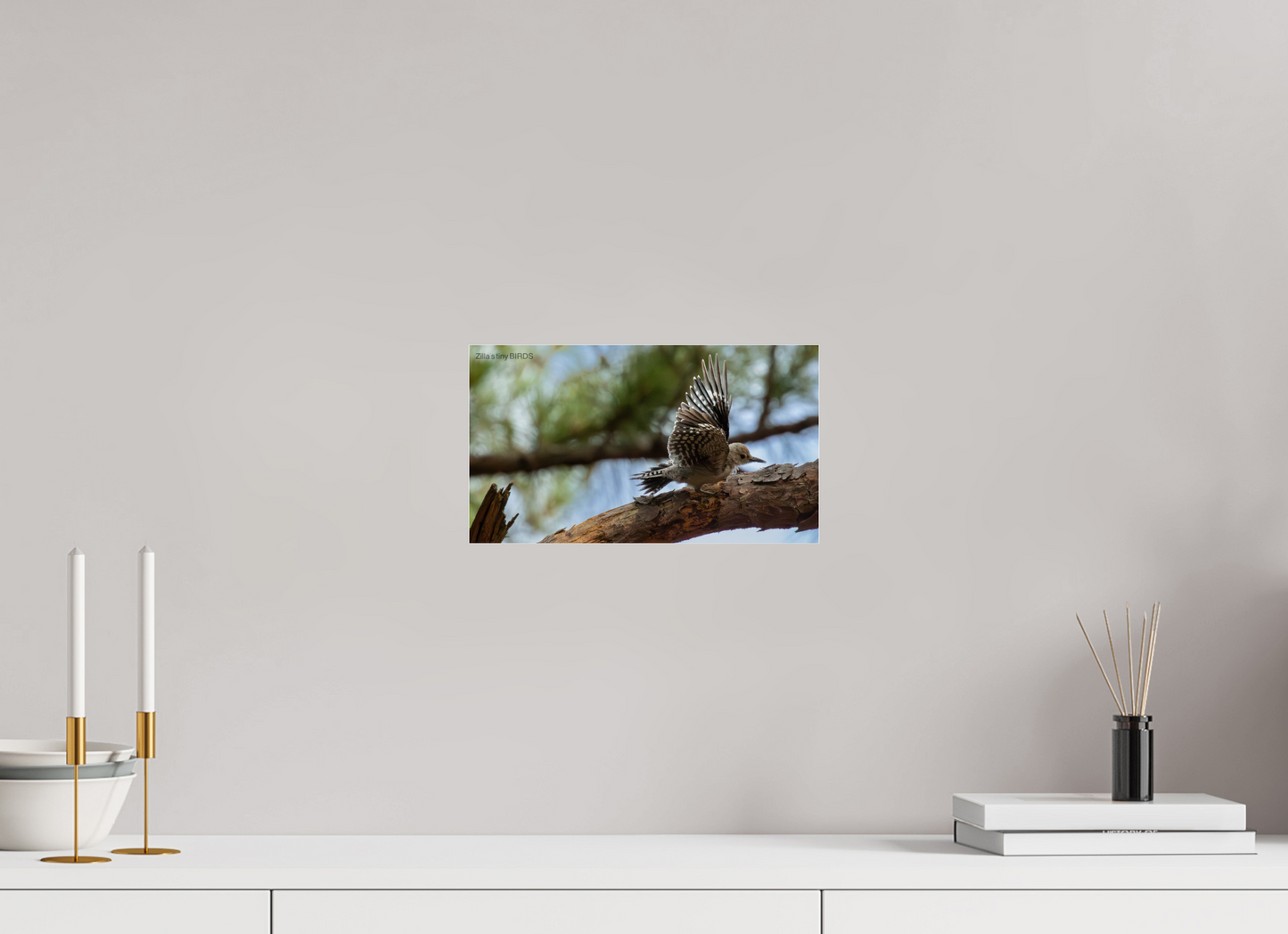 12 x 6.8″, Photo Print Under Acrylic Glass Zillas Zoom Image 388