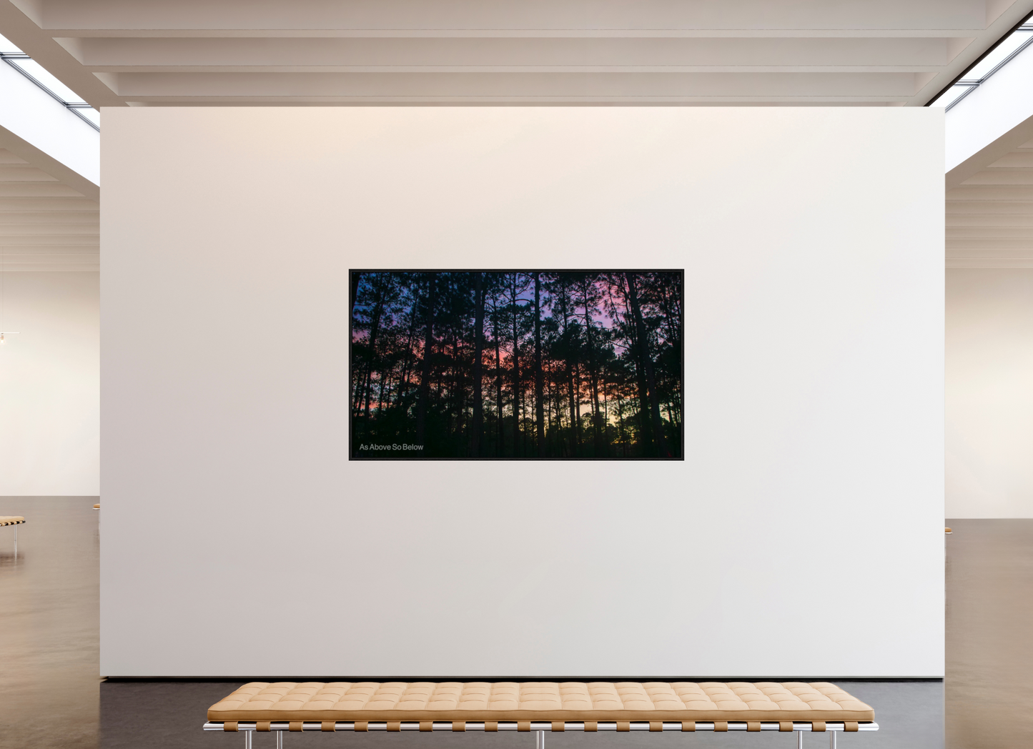 80 x 45″, Floater Frame Zillas Zoom Image 78