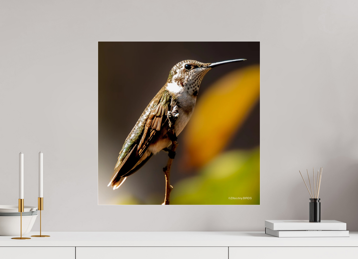 20 x 20.2″, Photo Print Under Acrylic Glass Zillas Zoom Image 359