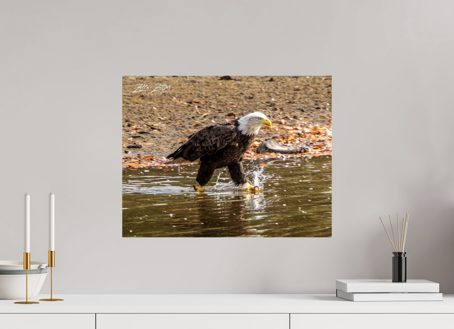 20.7 x 16″, Photo Print On Fuji Crystal DP II Zillas Zoom Image 303