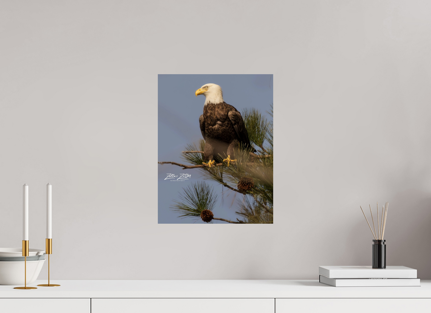 12 x 15.6″, Photo Print On Fuji Crystal DP II Zillas Zoom Image 413