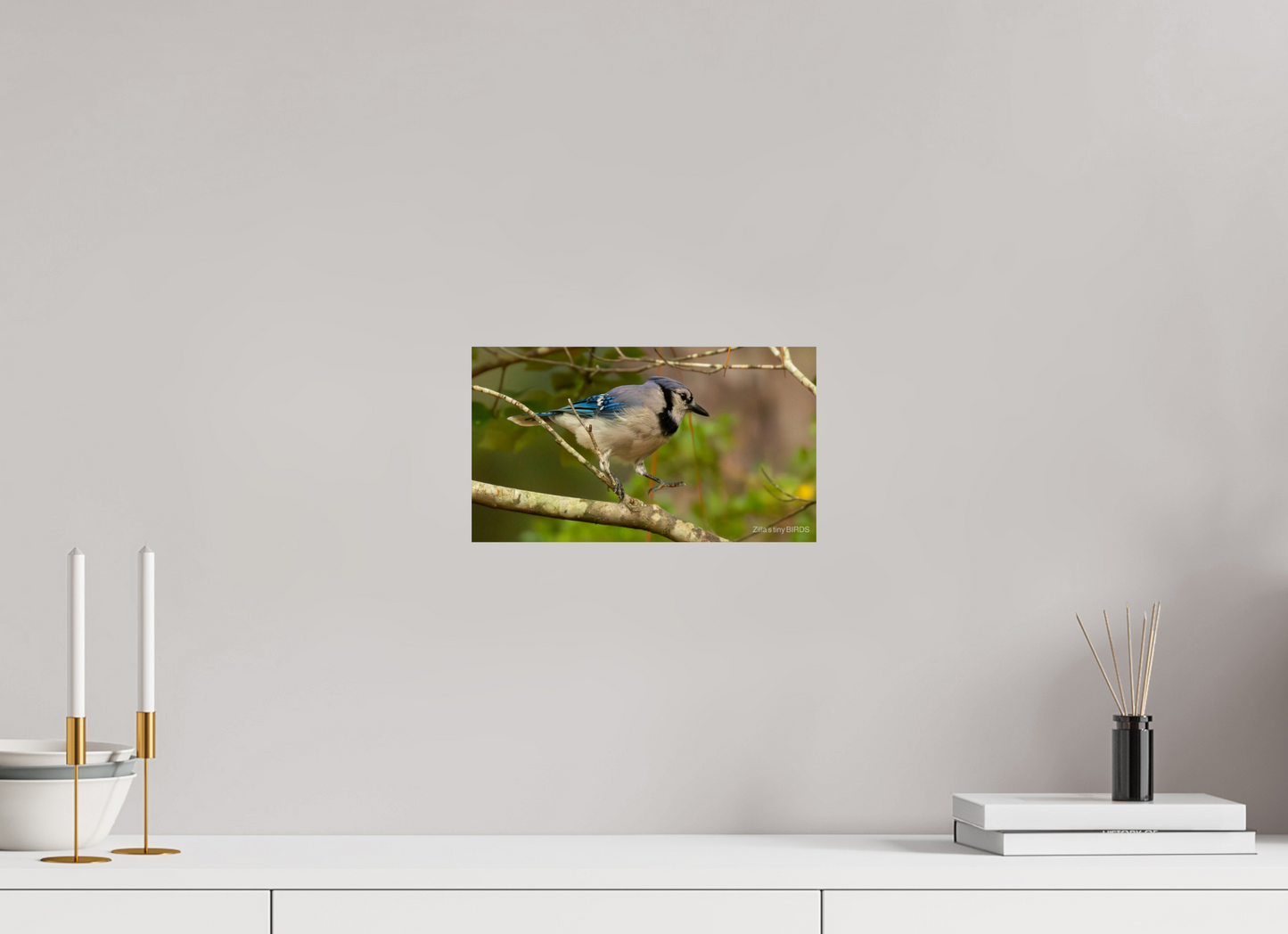12 x 6.8″, Photo Print On Fuji Crystal DP II Zillas Zoom Image 391