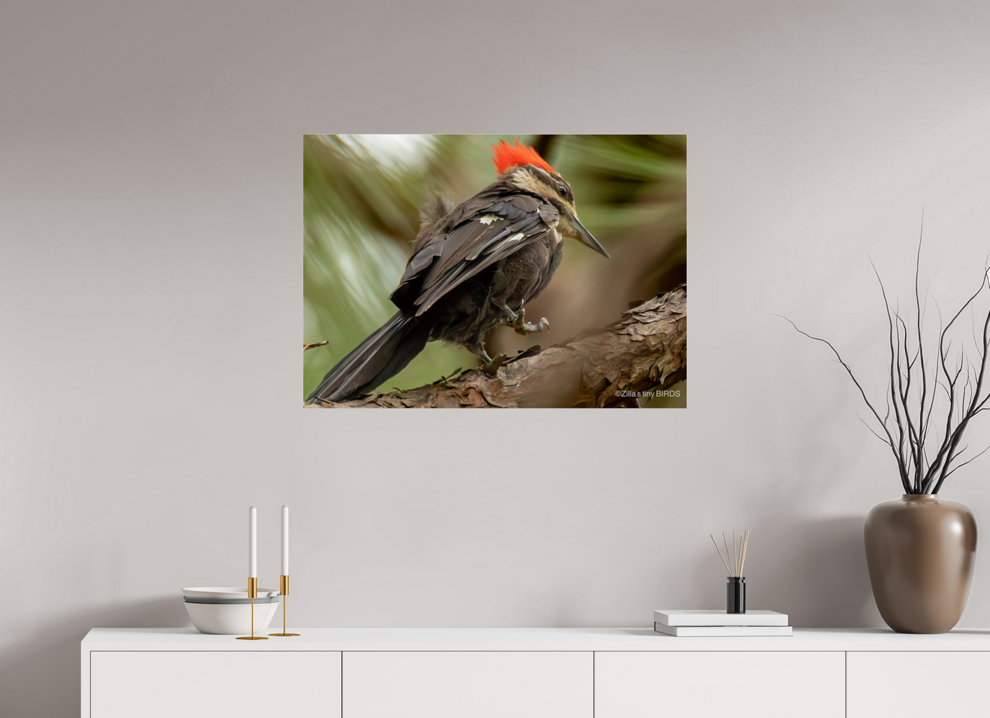 33.6 x 24″, Photo Print Under Acrylic Glass Zillas Zoom Image 341