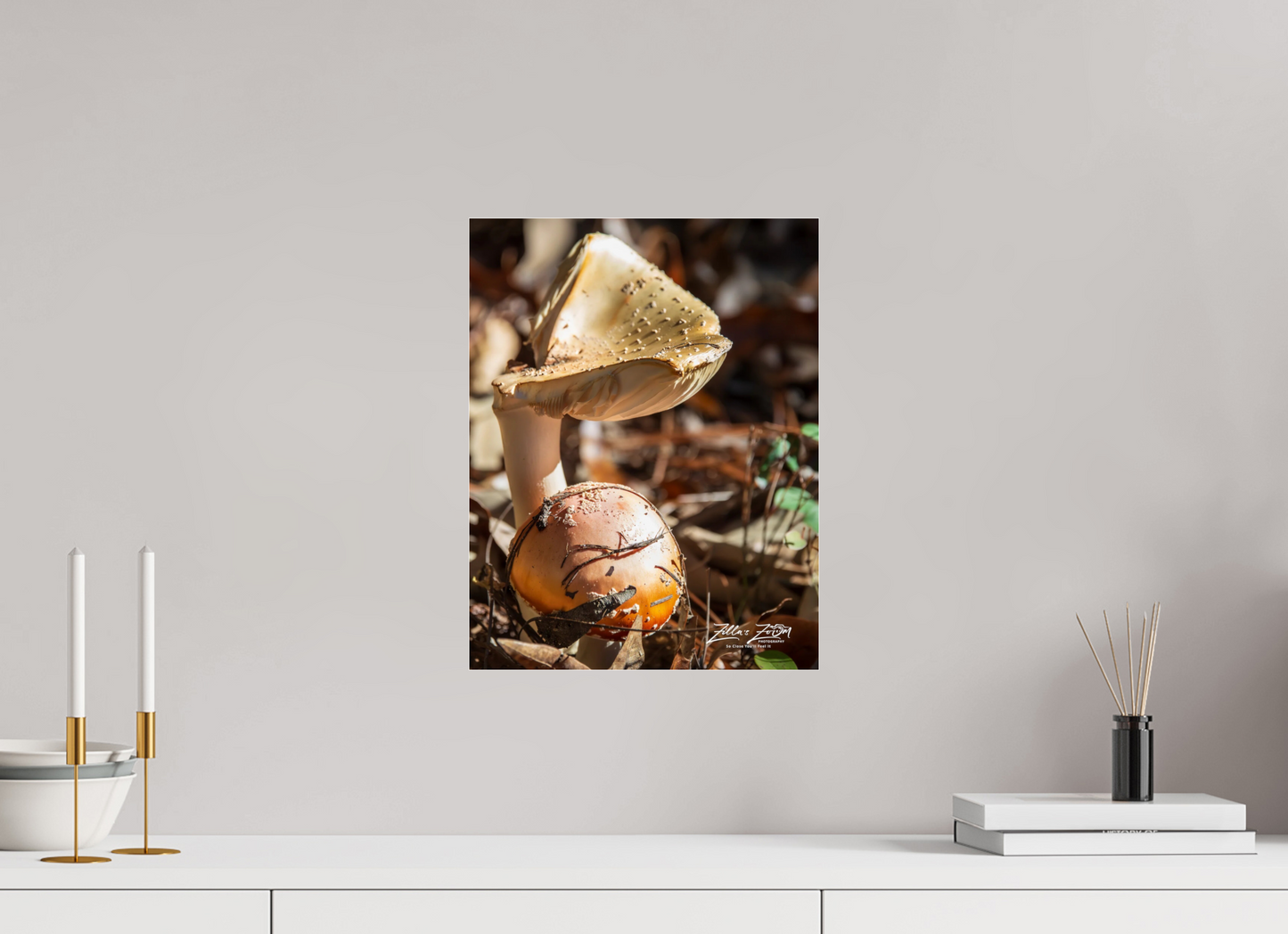 12 x 15.5″, Photo Print Under Acrylic Glass Zillas Zoom Image 116