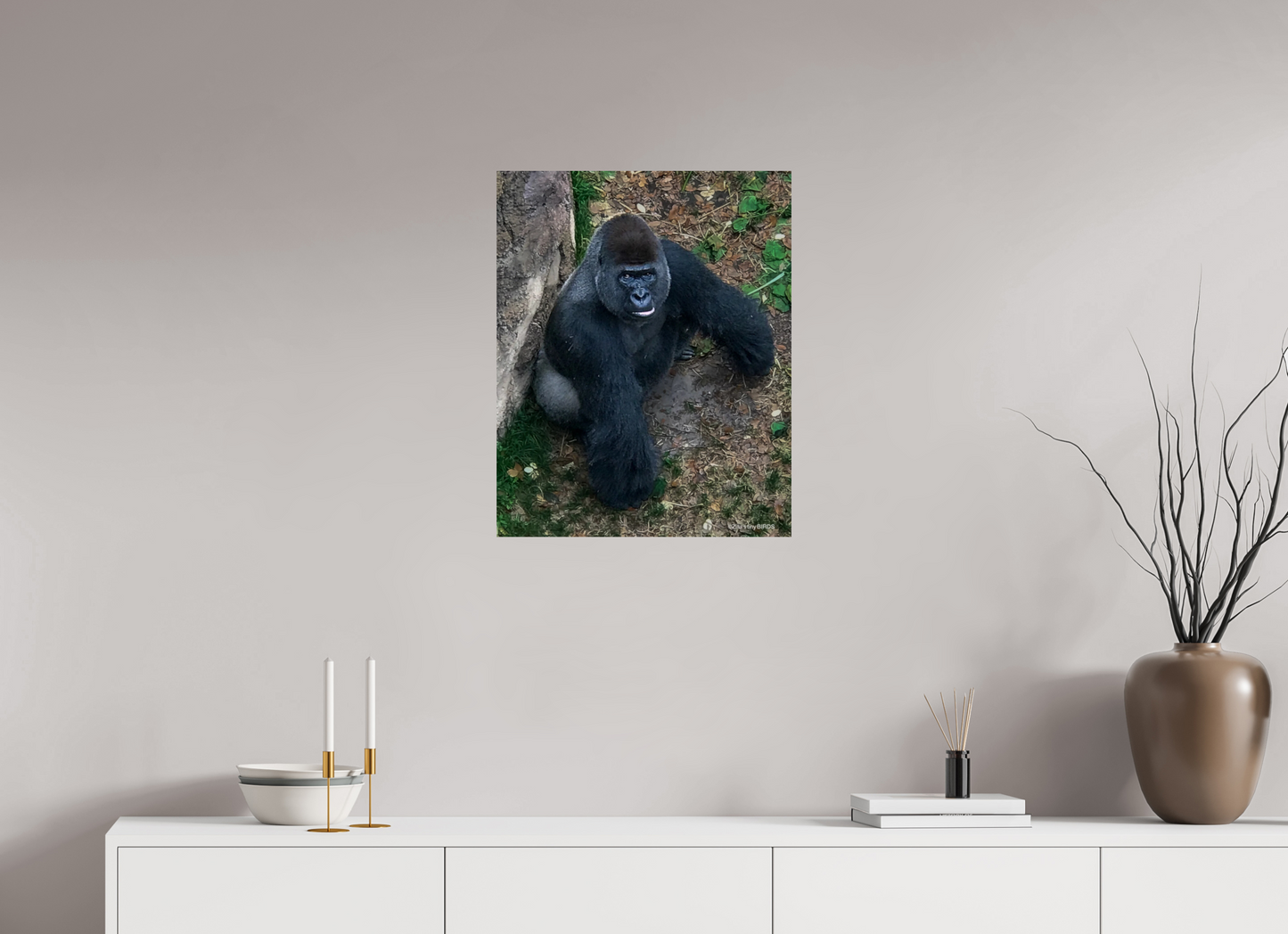 20 x 24.8″, Photo Print On Fuji Crystal DP II Zillas zoom image 151