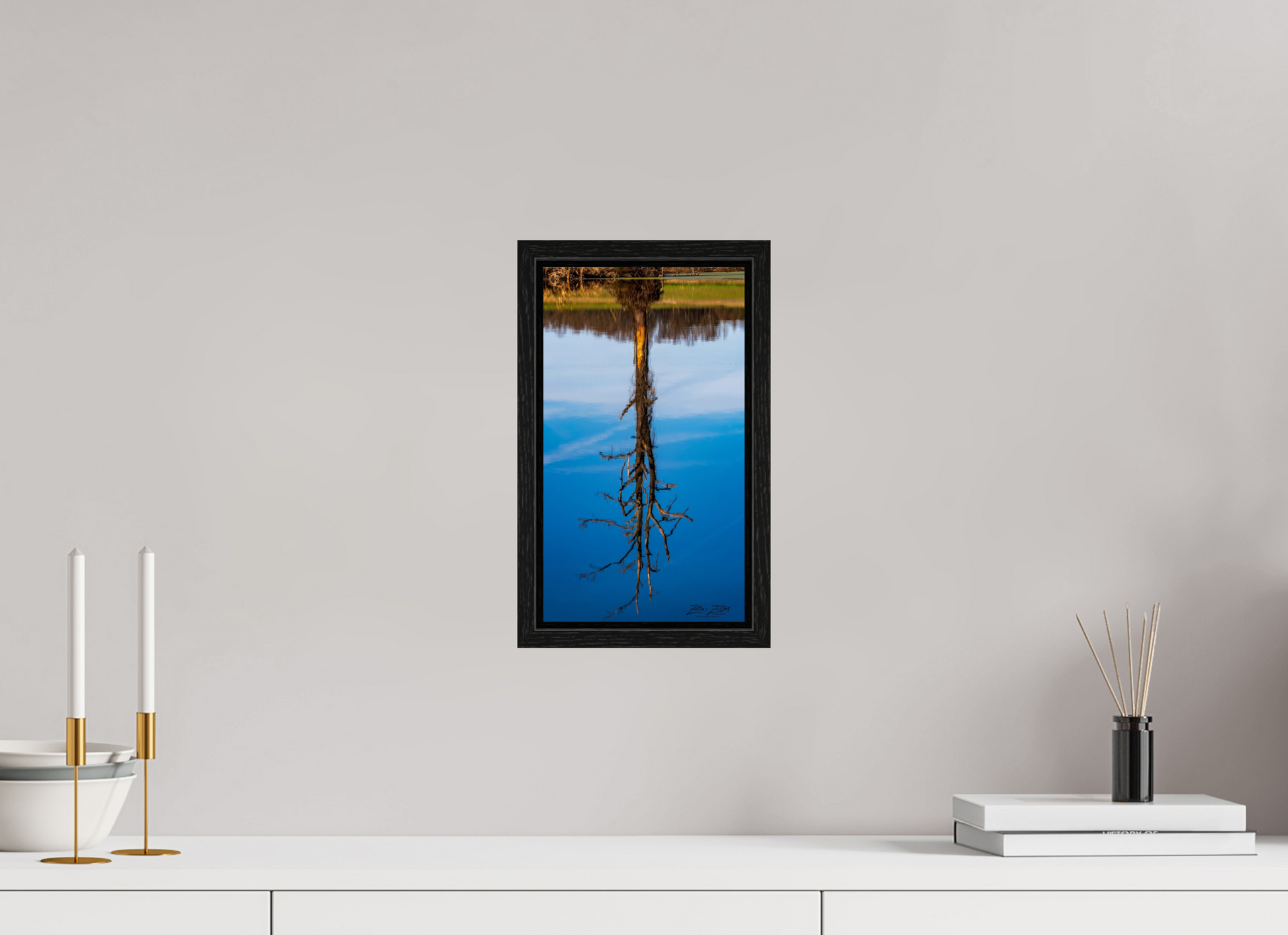 6.8 x 12″, Floater Frame Zillas Zoom Image 246