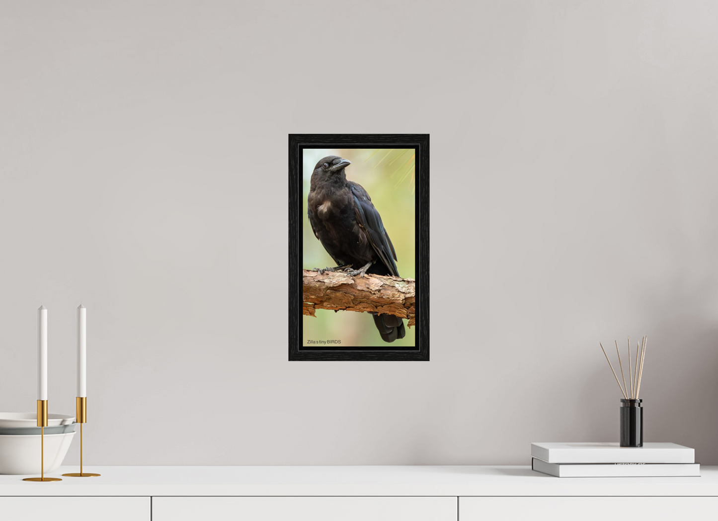 6.8 x 12″, Floater Frame Zillas Zoom Image 479